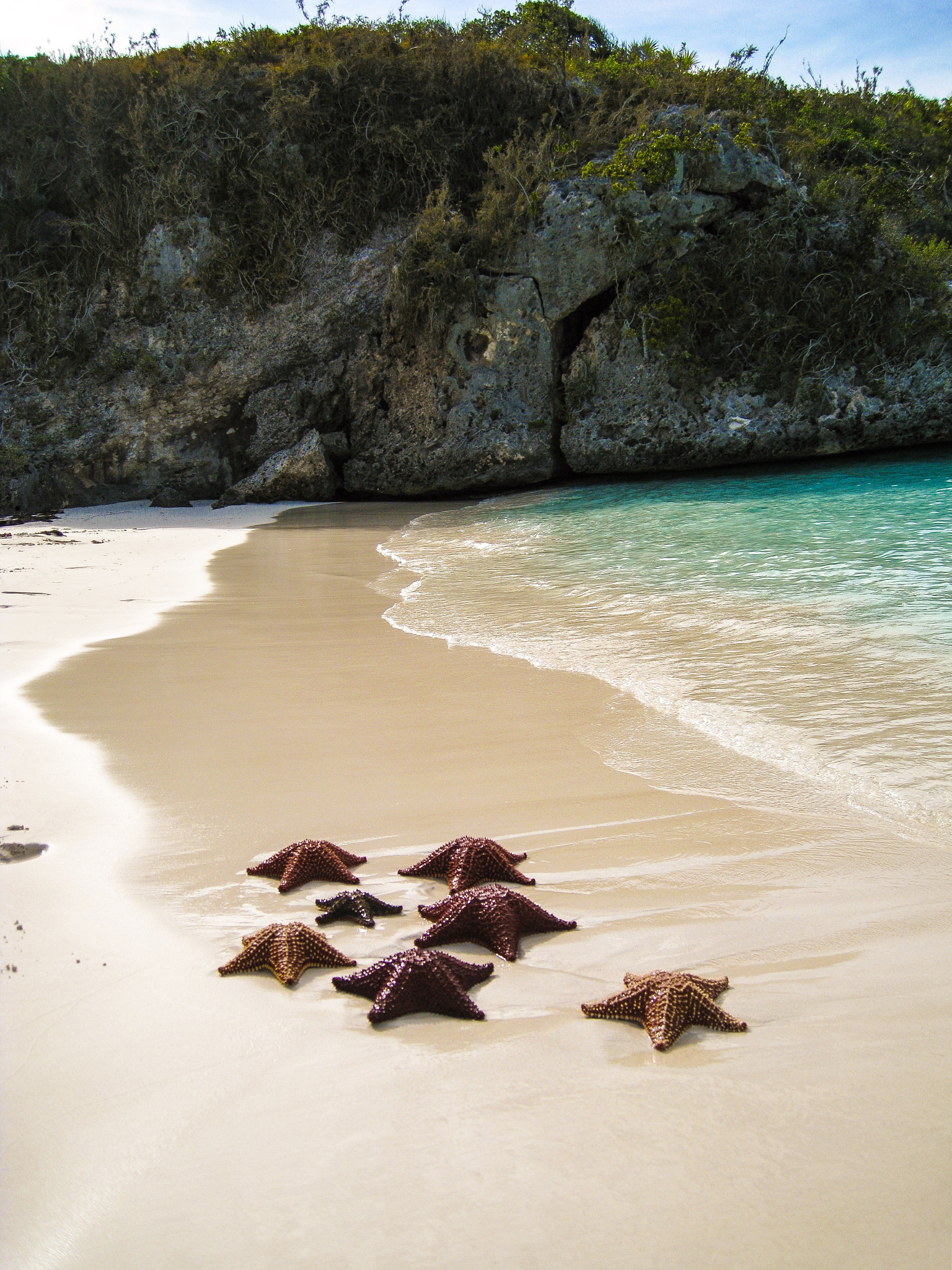 Canon POWERSHOT SD950 IS sample photo. Starfish great exuma florida photography