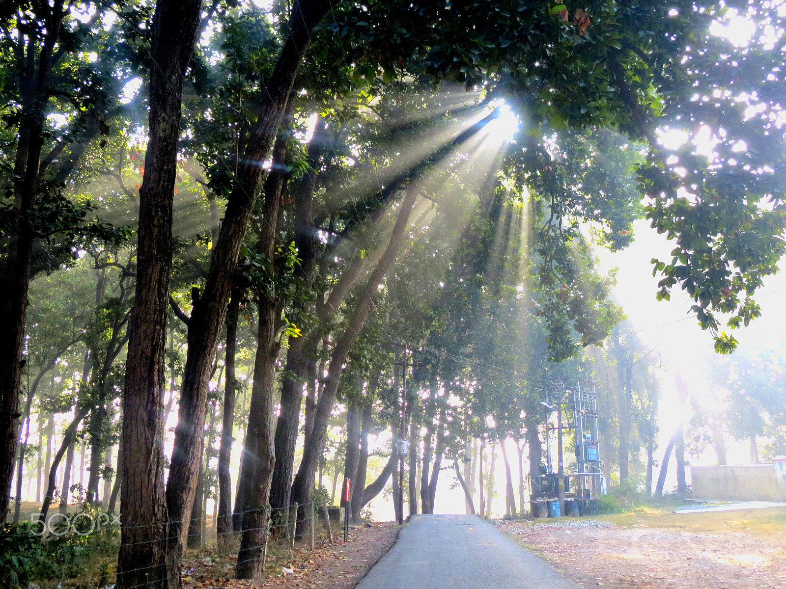 Canon PowerShot ELPH 520 HS (IXUS 500 HS / IXY 3) sample photo. Morning light photography