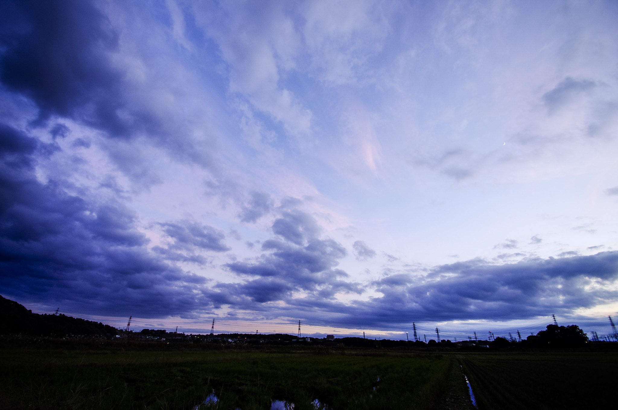 Pentax K-5 IIs sample photo. Fly photography