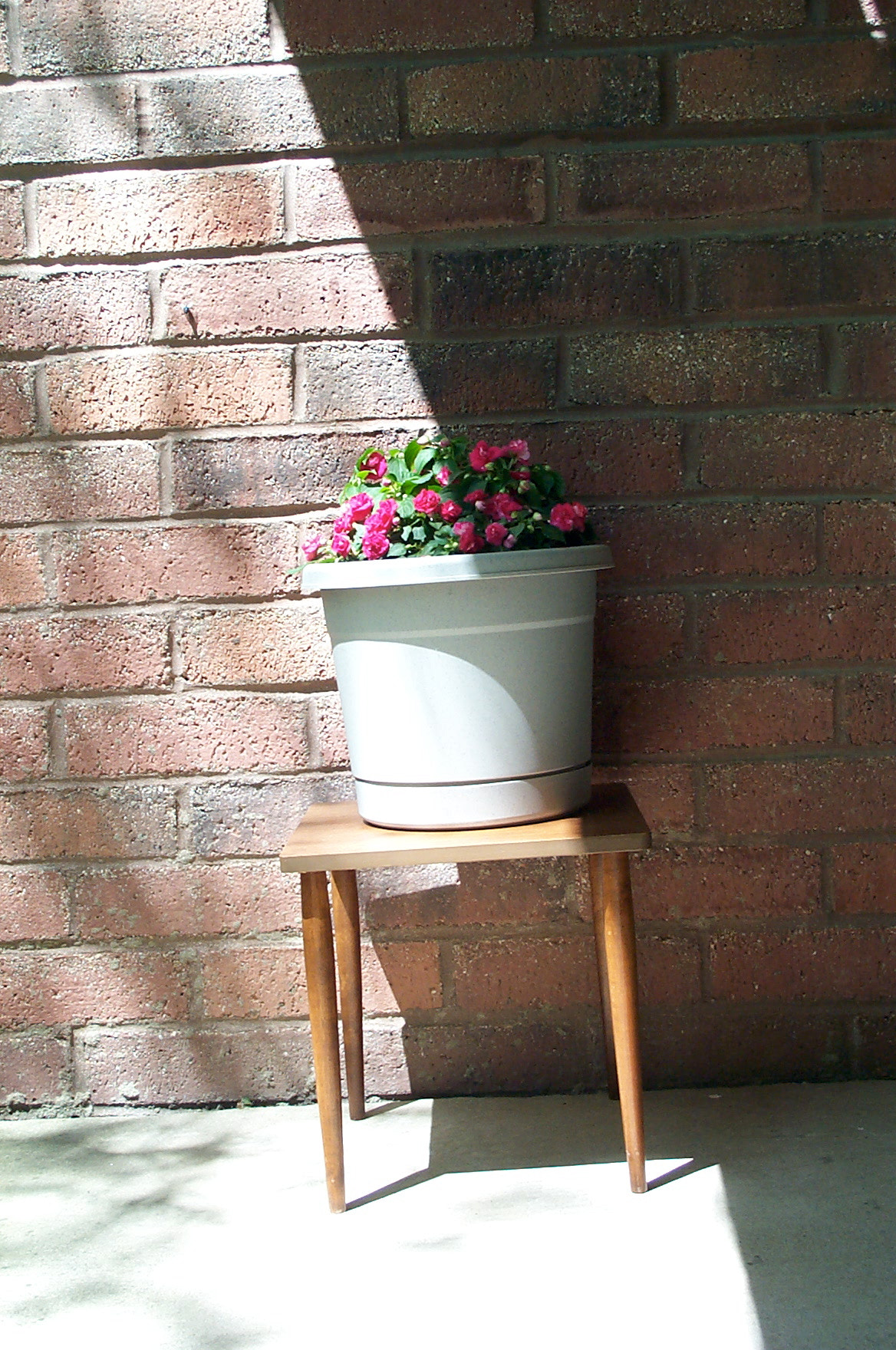 Kodak DC280 ZOOM DIGITAL CAMERA sample photo. Sunny planter photography
