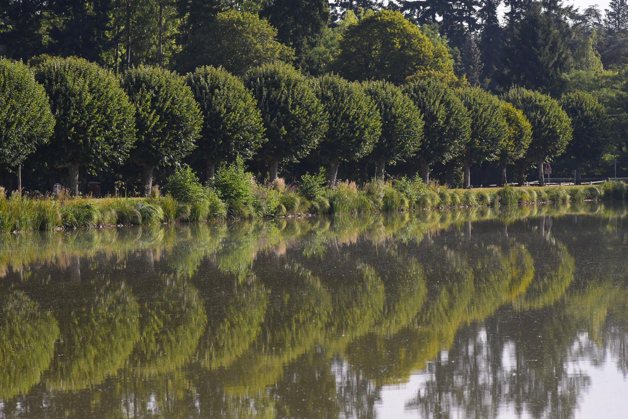 Nikon D750 + Nikon AF Nikkor 180mm F2.8D ED-IF sample photo. Lake photography