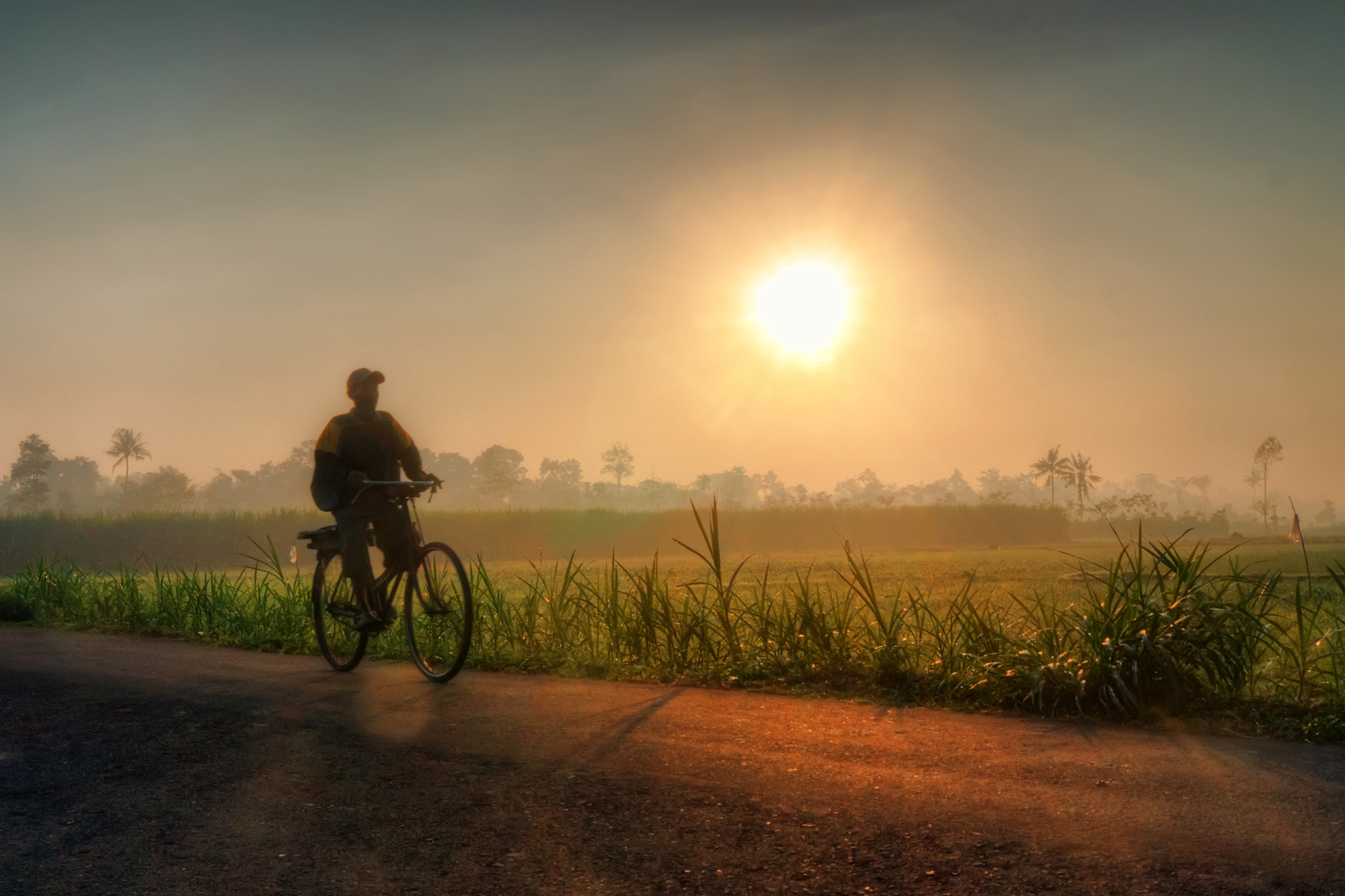 Sony Alpha DSLR-A560 sample photo. Berangkat pagi photography