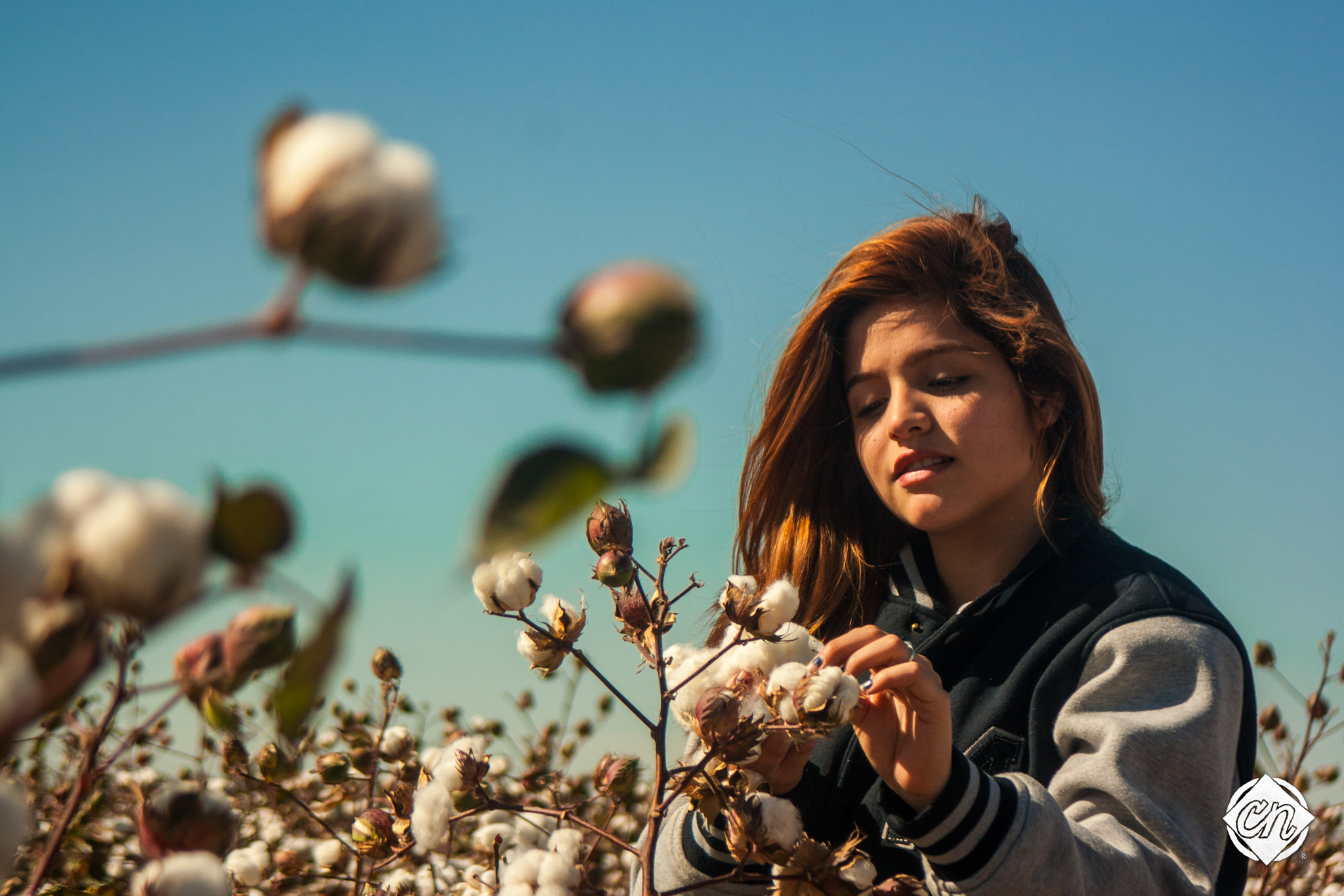 Canon EF 35-105mm f/4.5-5.6 sample photo. Cotton photography
