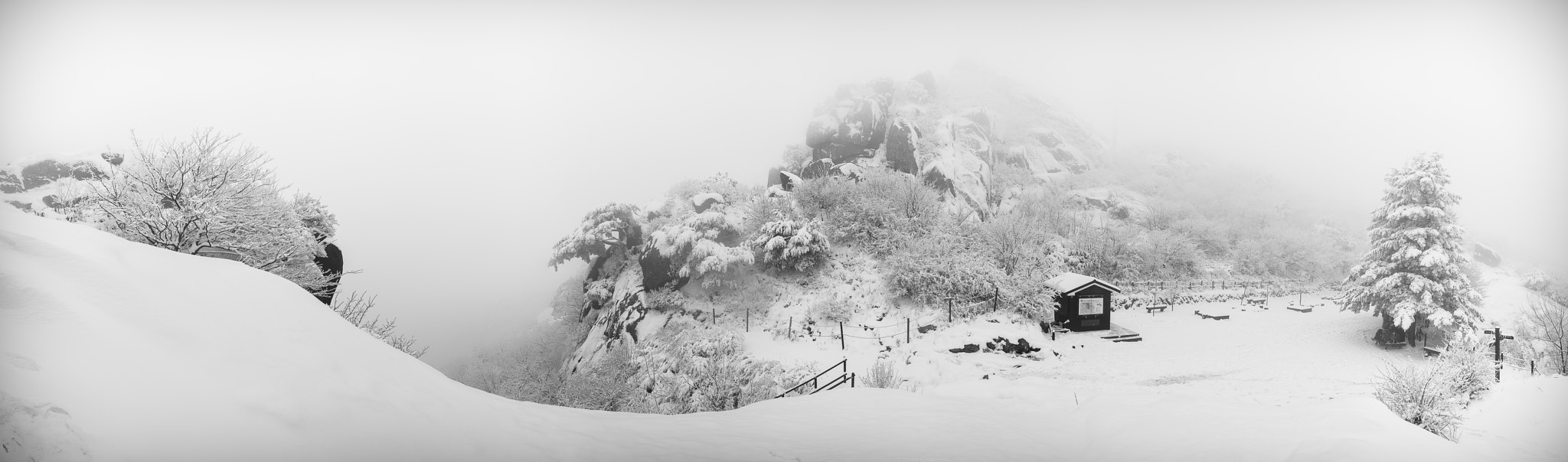 Tamron 18-270mm F3.5-6.3 Di II PZD sample photo. Snow land photography
