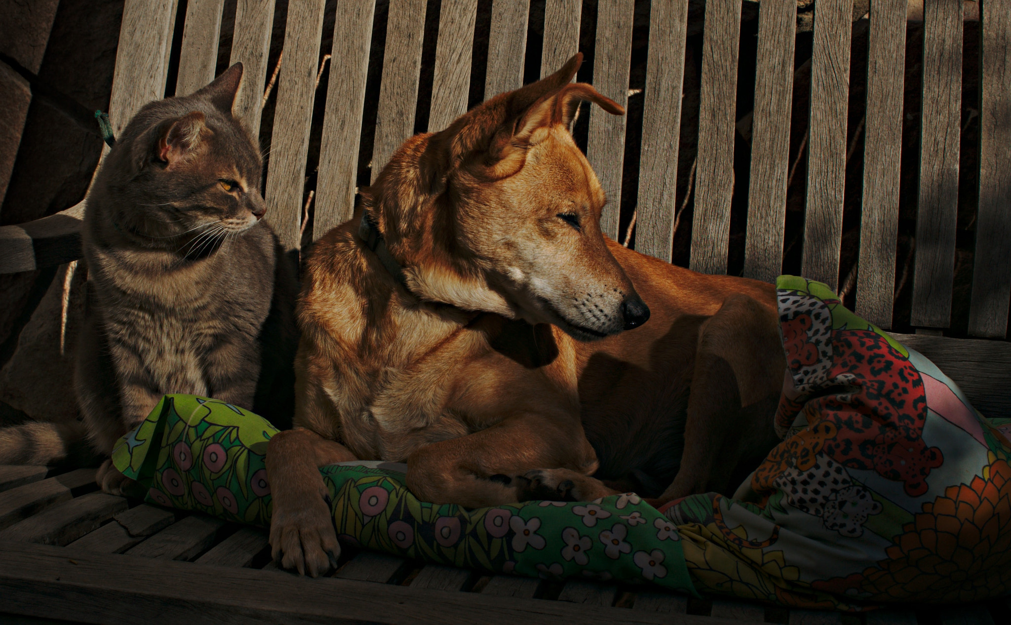 Sony Alpha NEX-5N + Sigma 30mm F2.8 EX DN sample photo. Winter sun photography