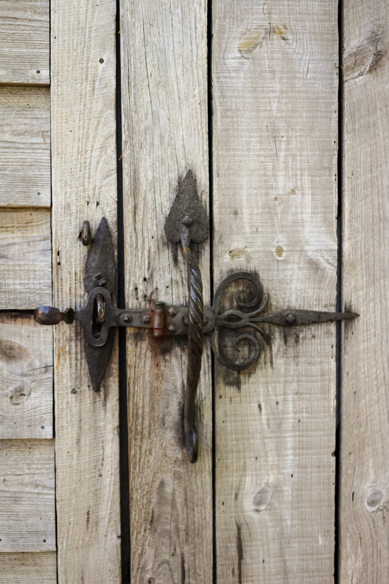 Canon EF 40mm F2.8 STM sample photo. Latched photography