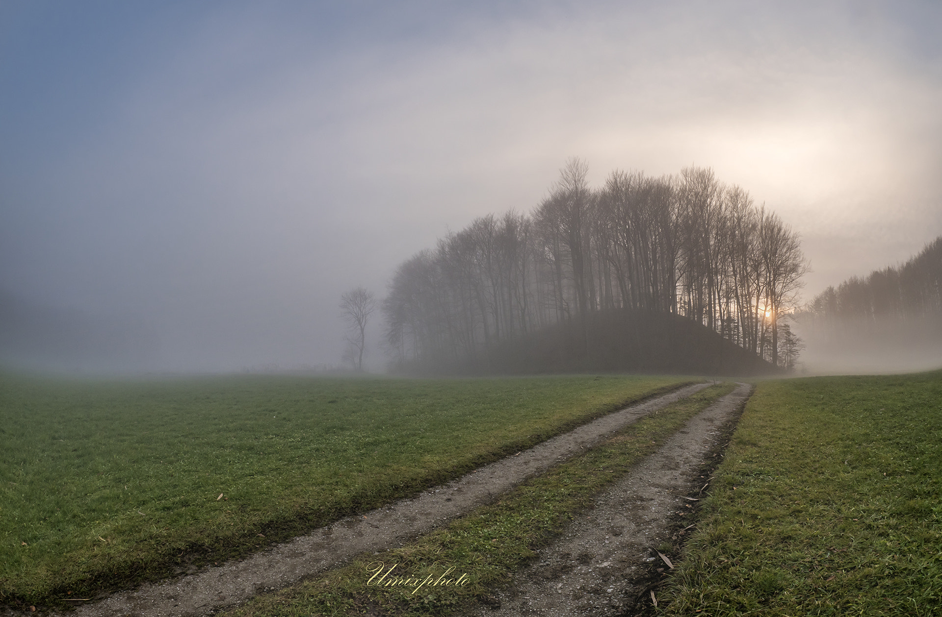 Panasonic Lumix DMC-GX8 + OLYMPUS M.8mm F1.8 sample photo. Foggy winter day photography