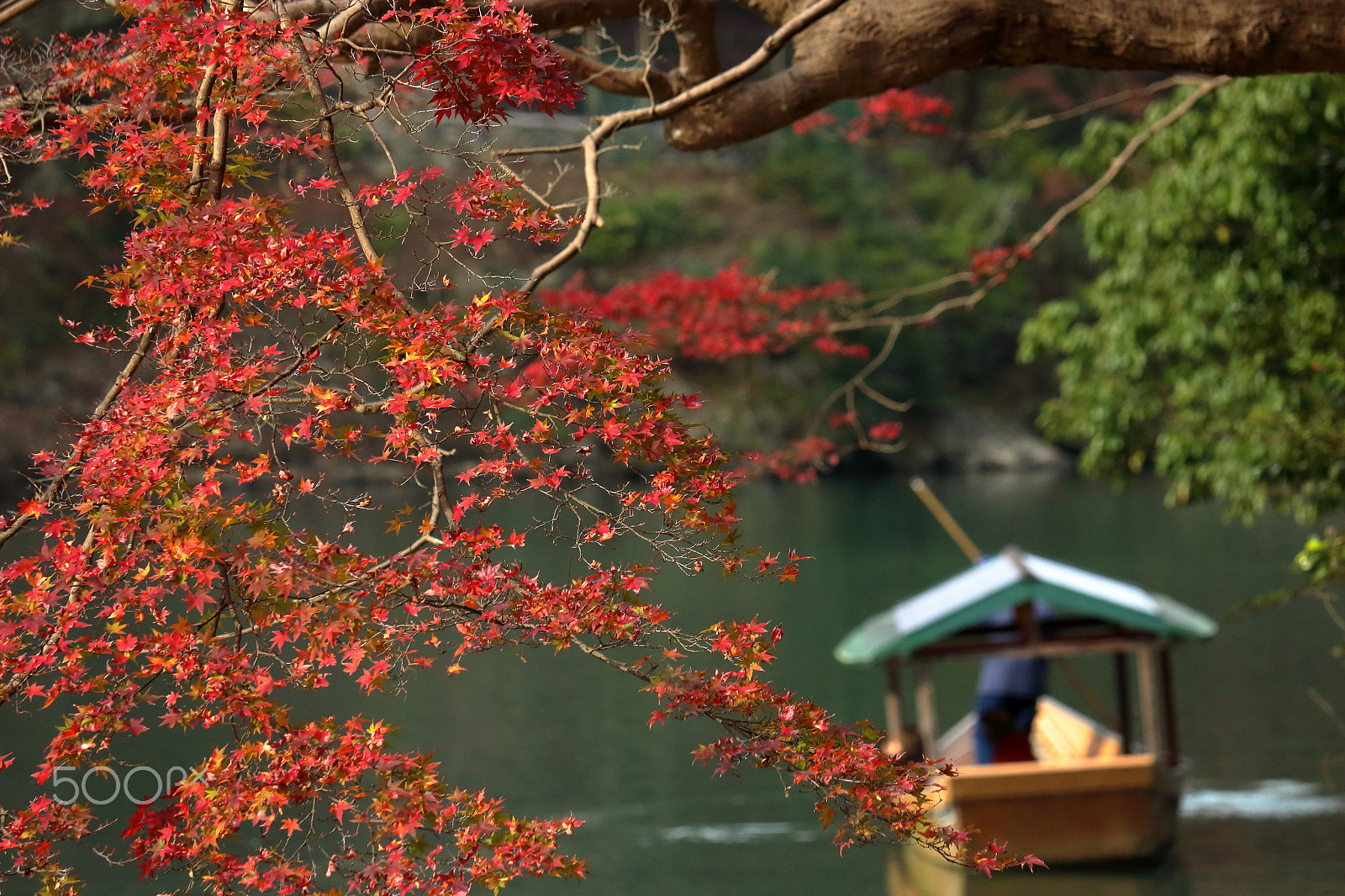 Canon EOS 100D (EOS Rebel SL1 / EOS Kiss X7) sample photo. A boat under autumn leaves photography
