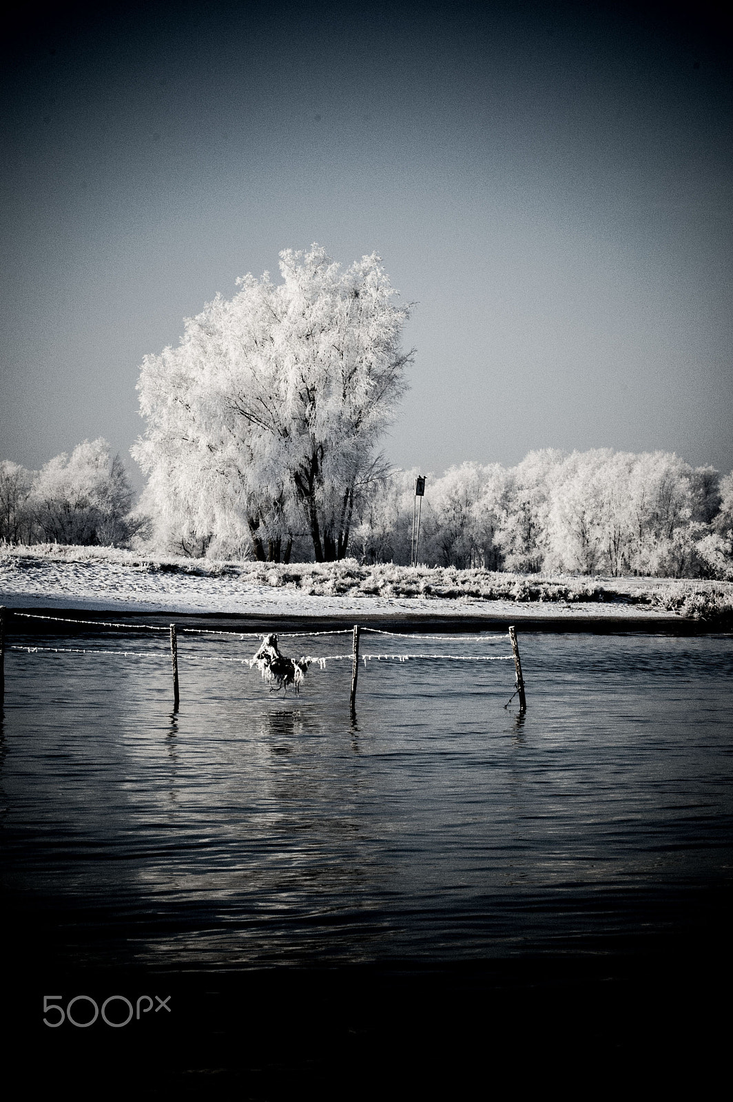 AF Zoom-Nikkor 75-240mm f/4.5-5.6D sample photo. Frozen winter landscape photography