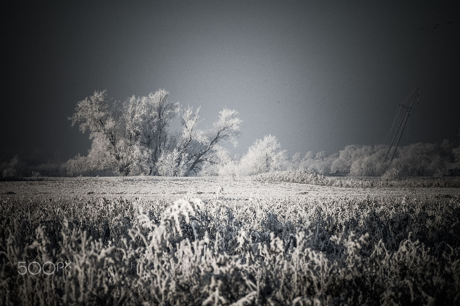 Nikon D70s + AF Zoom-Nikkor 75-240mm f/4.5-5.6D sample photo. Frozen winter landscape photography