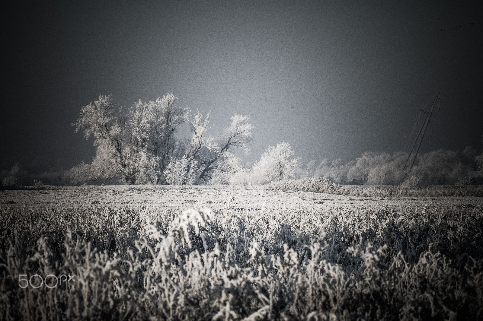 AF Zoom-Nikkor 75-240mm f/4.5-5.6D sample photo. Frozen winter landscape photography
