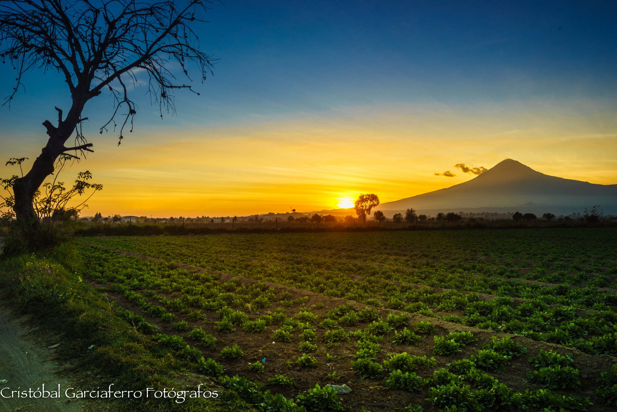 Sony a7R + Canon EF 16-35mm F2.8L USM sample photo. Sunrise with the volcano, at the field flower photography