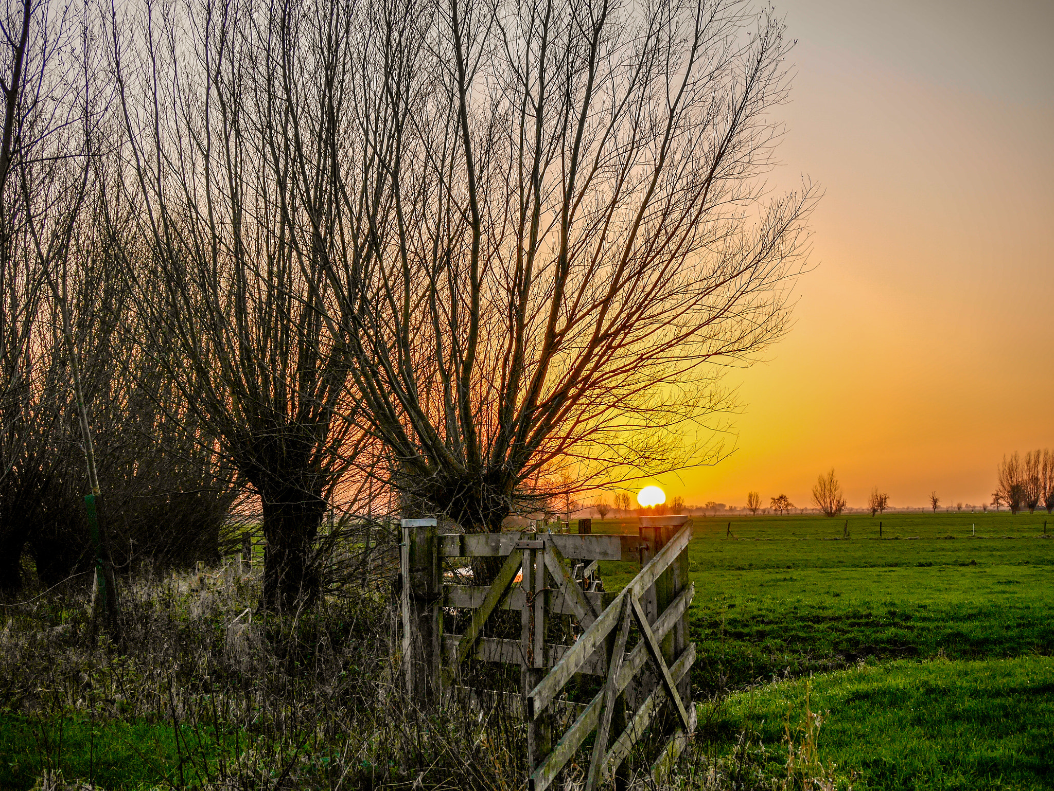 Panasonic Lumix G Vario 45-200mm F4-5.6 OIS sample photo. Dutch landscape photography