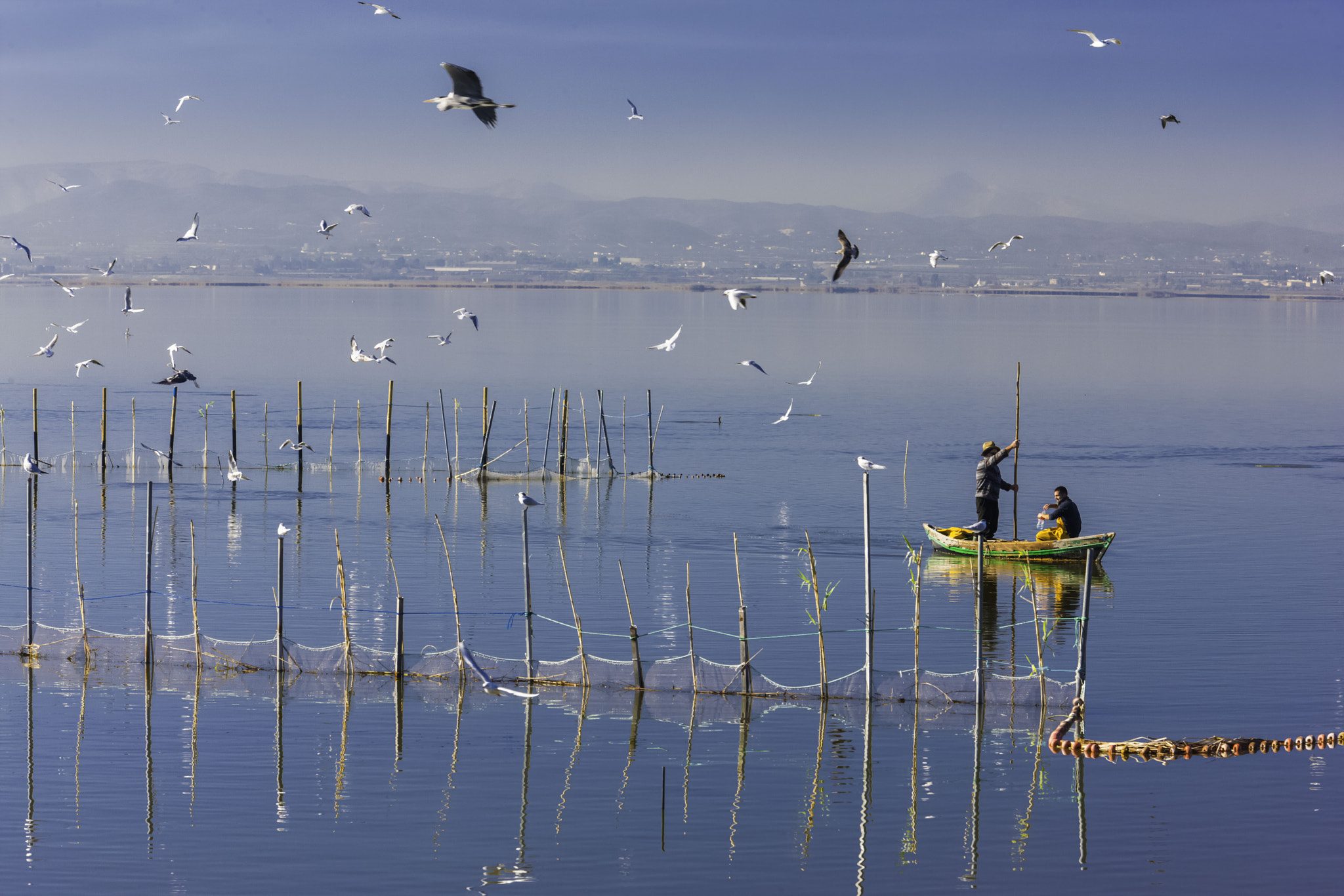 Canon EOS-1Ds Mark III + Canon EF 70-200mm F4L IS USM sample photo. Albufera lagoon photography