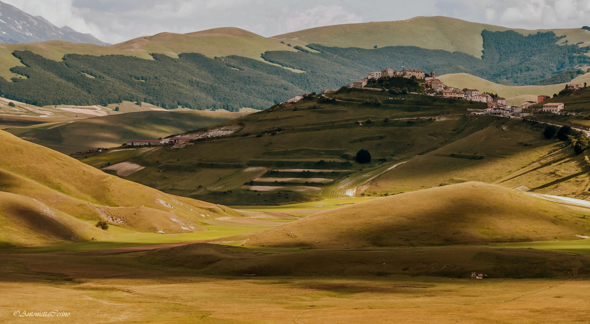 Sigma 18-250mm F3.5-6.3 DC OS HSM sample photo. Dalla collina photography