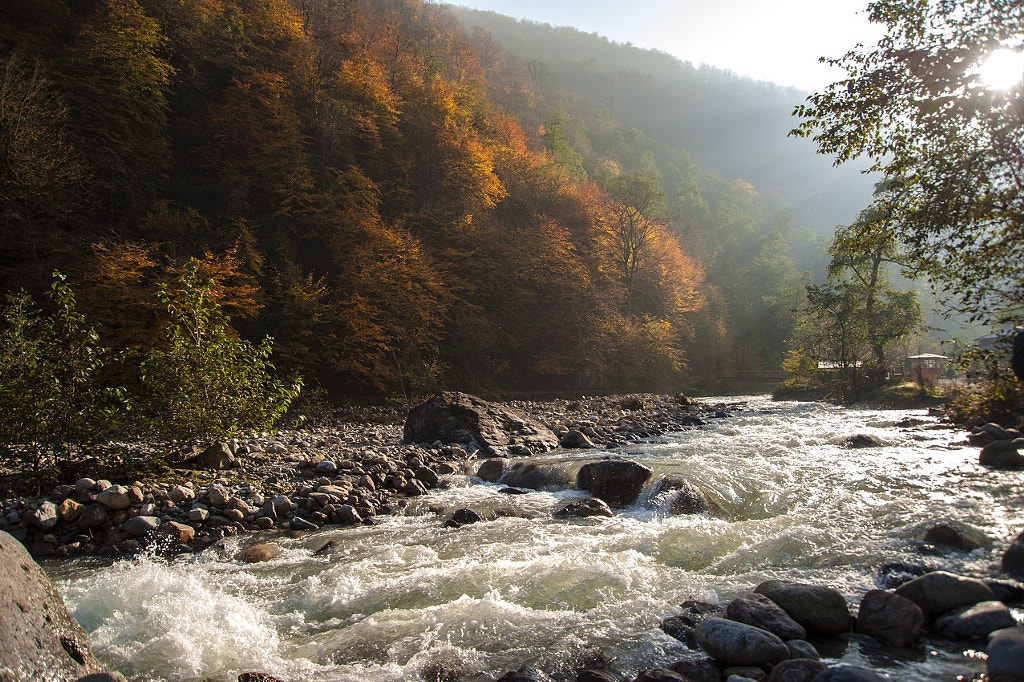 River by Sirous Abdoli / 500px