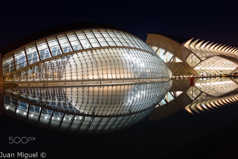Sony SLT-A65 (SLT-A65V) + 20mm F2.8 sample photo. Cac photography