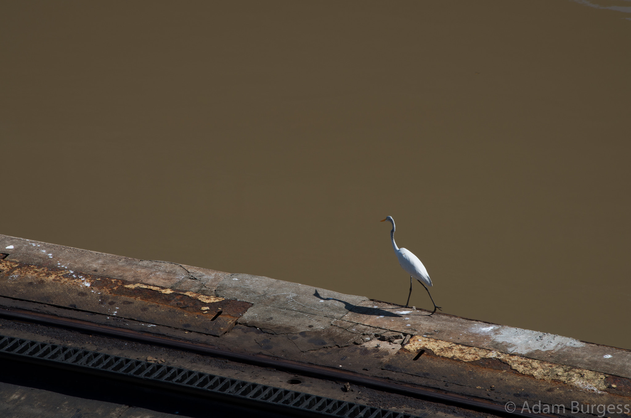 smc PENTAX-DA L 55-300mm F4-5.8 ED sample photo. Supervising photography