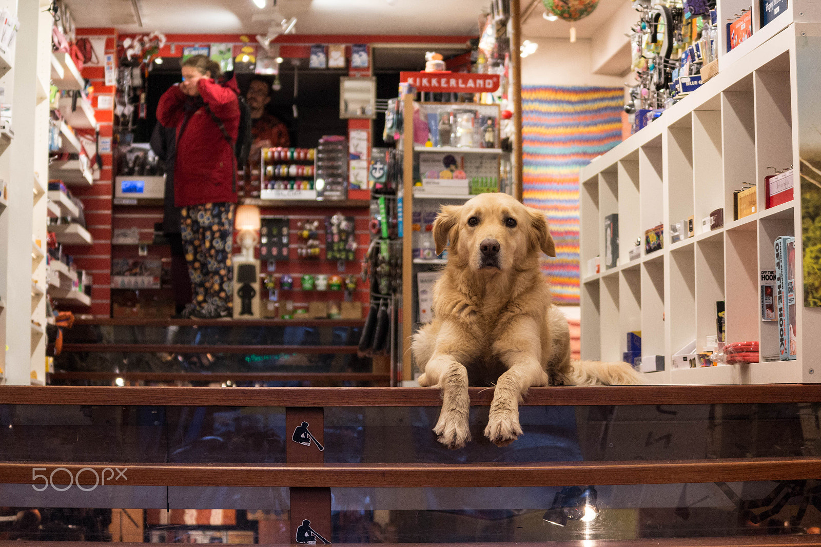 Canon EOS M sample photo. Nice dog photography