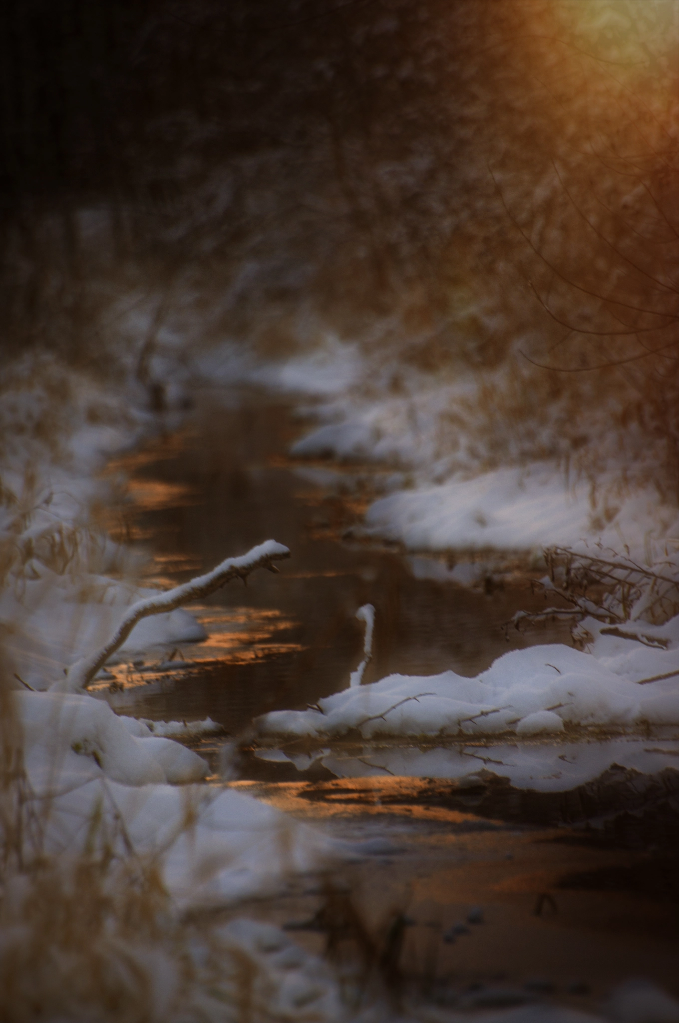 Pentax K-x sample photo. Sonnenuntergang an der wuhle photography