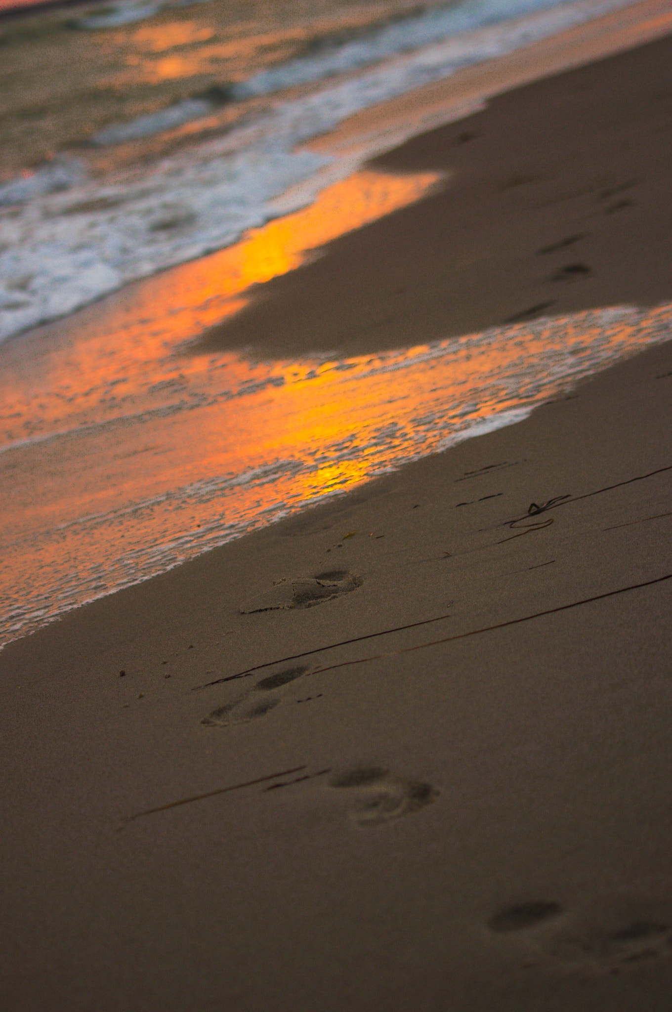 Pentax K-x sample photo. Footprints in the sand photography