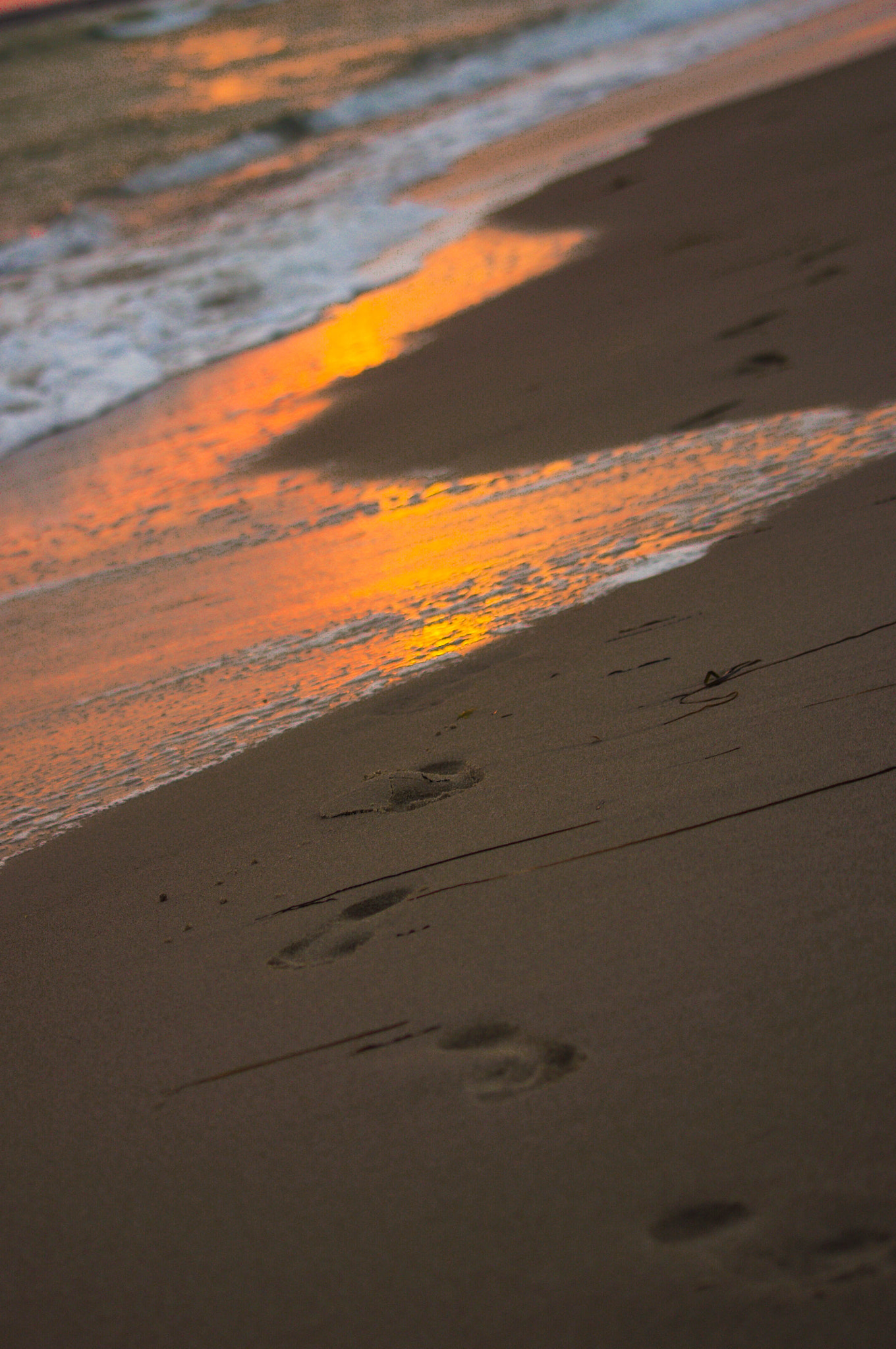 Pentax K-x + Sigma sample photo. Footprints in the sand photography