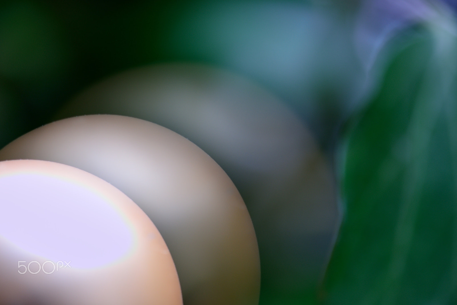Sigma 105mm F2.8 EX DG OS HSM sample photo. Dissolution photography
