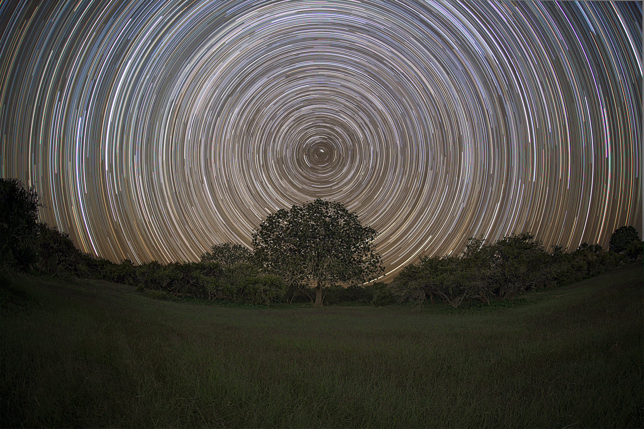 Canon EOS 5D Mark II + Sigma 15mm f/2.8 EX Fisheye sample photo. Startrails photography