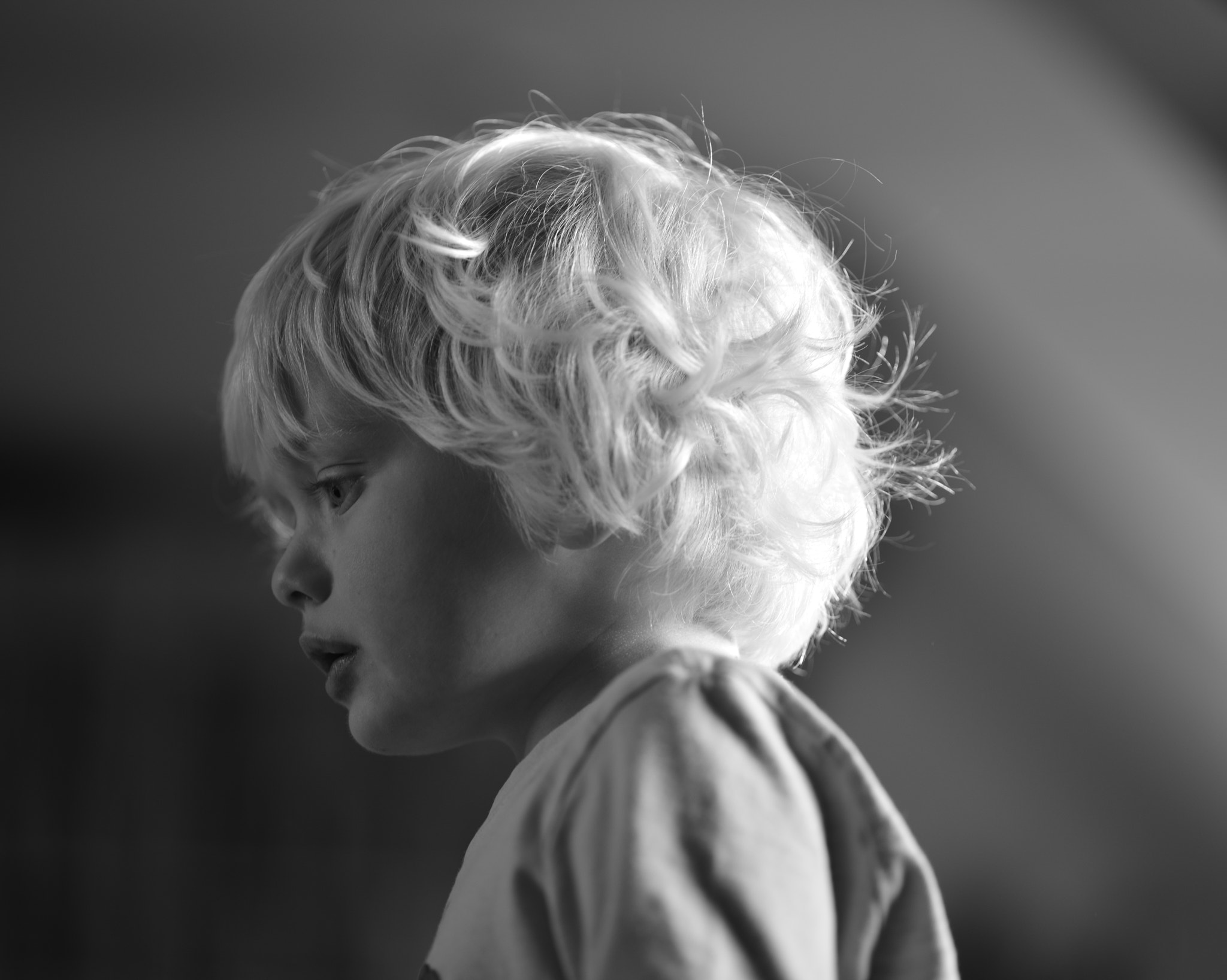 ZEISS Apo Sonnar T* 135mm F2 sample photo. Sebastian photography