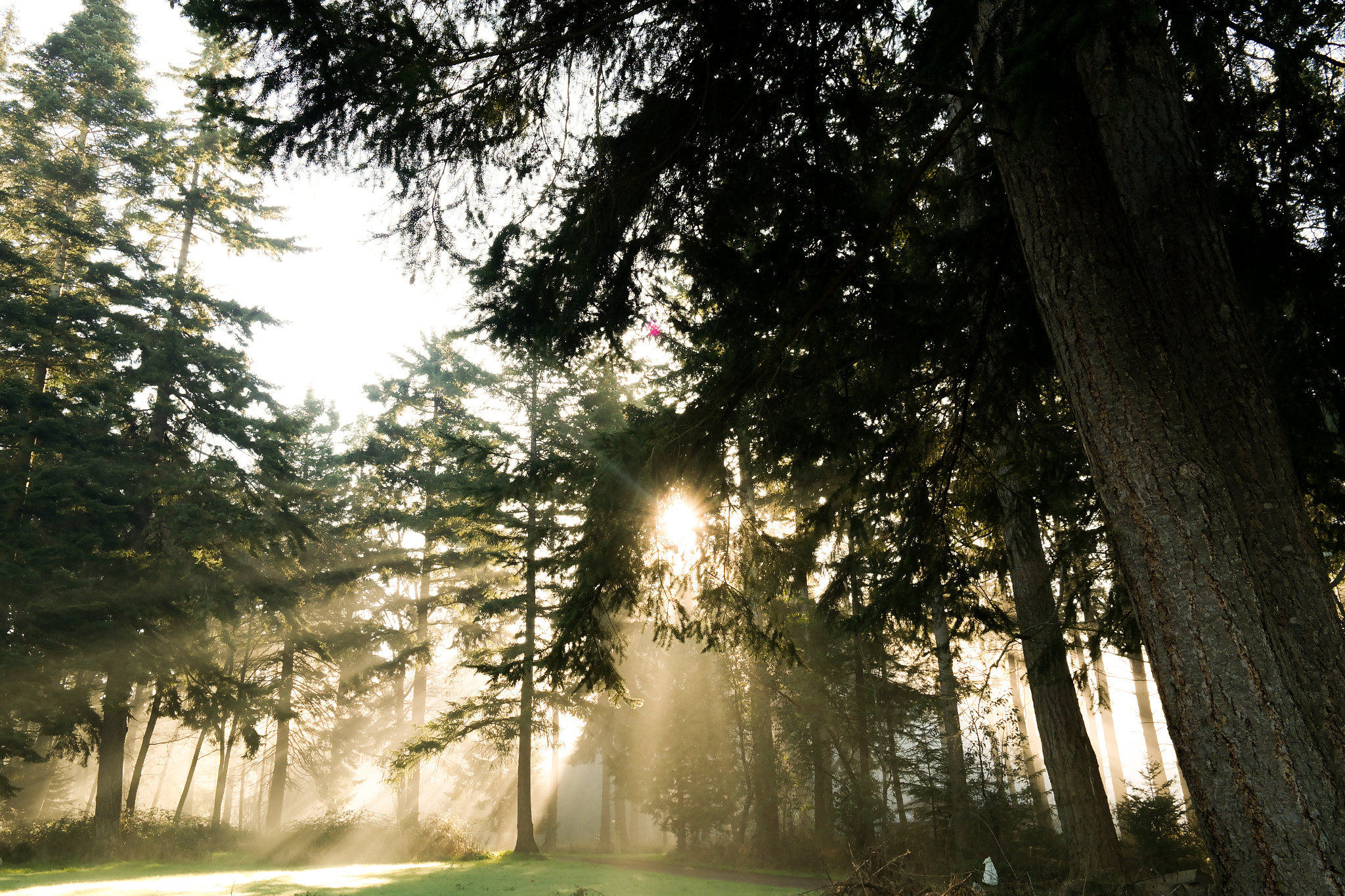 Samsung NX30 + NX 18-55mm F3.5-5.6 sample photo. Pnw morning ii photography