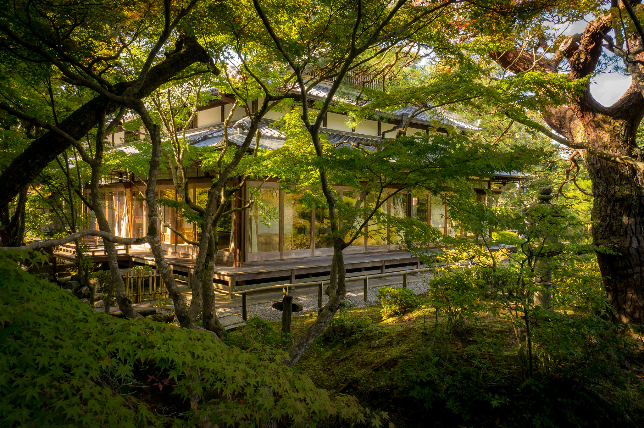 Sony Alpha NEX-5N + Sony E 10-18mm F4 OSS sample photo. Yoshikien garden photography