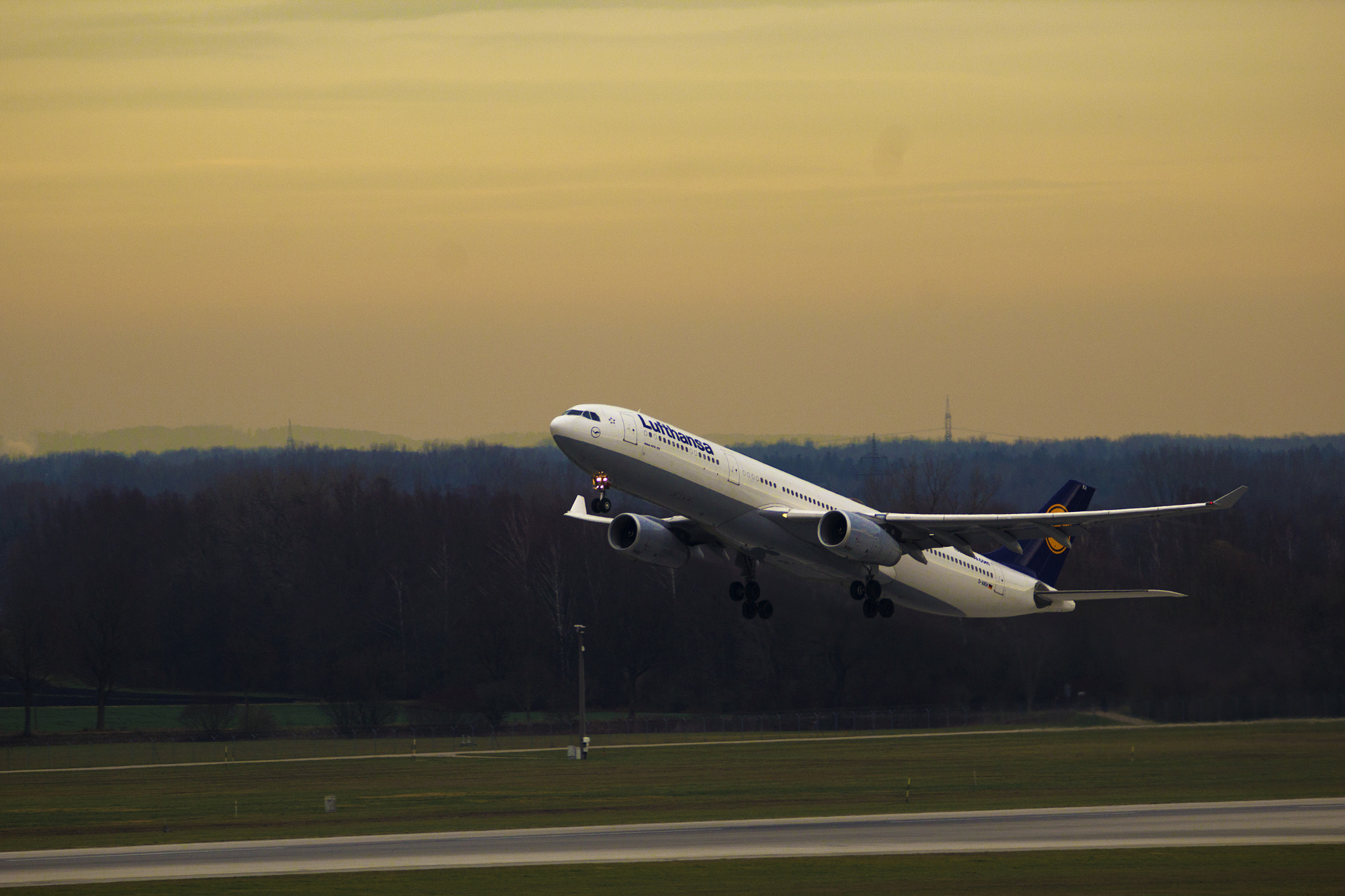 Sigma 150-600mm F5-6.3 DG OS HSM | C sample photo. Lufthansa a330-300 photography