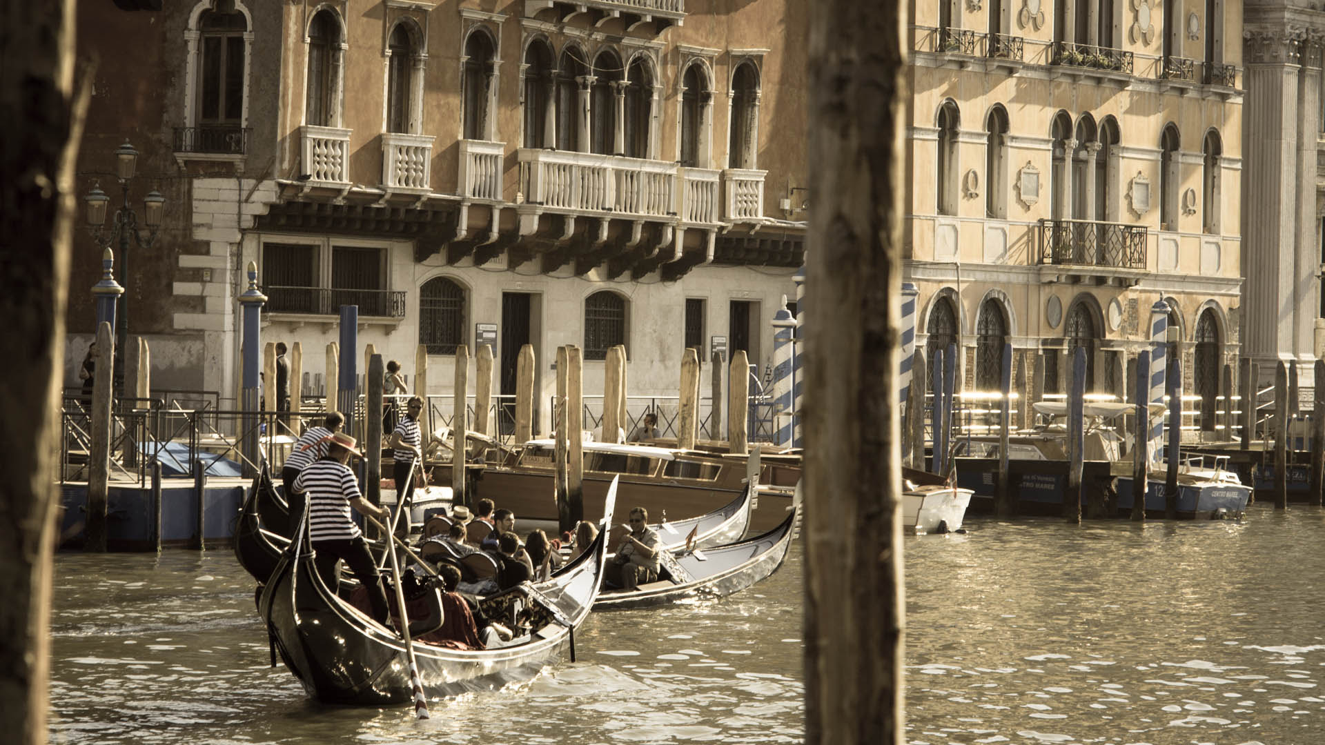 Sony Alpha DSLR-A580 + Sony 85mm F2.8 SAM sample photo. Typical venice photography