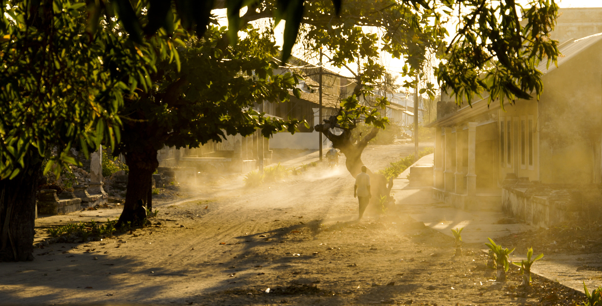 Sony E 18-200mm F3.5-6.3 OSS sample photo. 5pm in mozambique photography