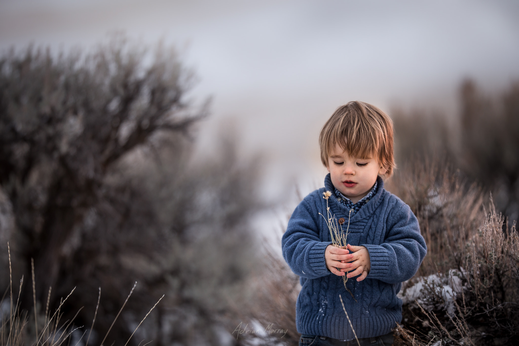 Canon EOS 6D + Canon EF 200mm F2L IS USM sample photo. Cold and silver photography