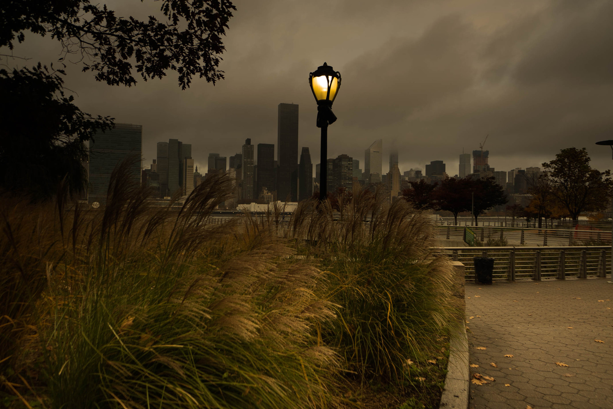 Sony a7S + Sony E 10-18mm F4 OSS sample photo. Lamp post in the dark photography