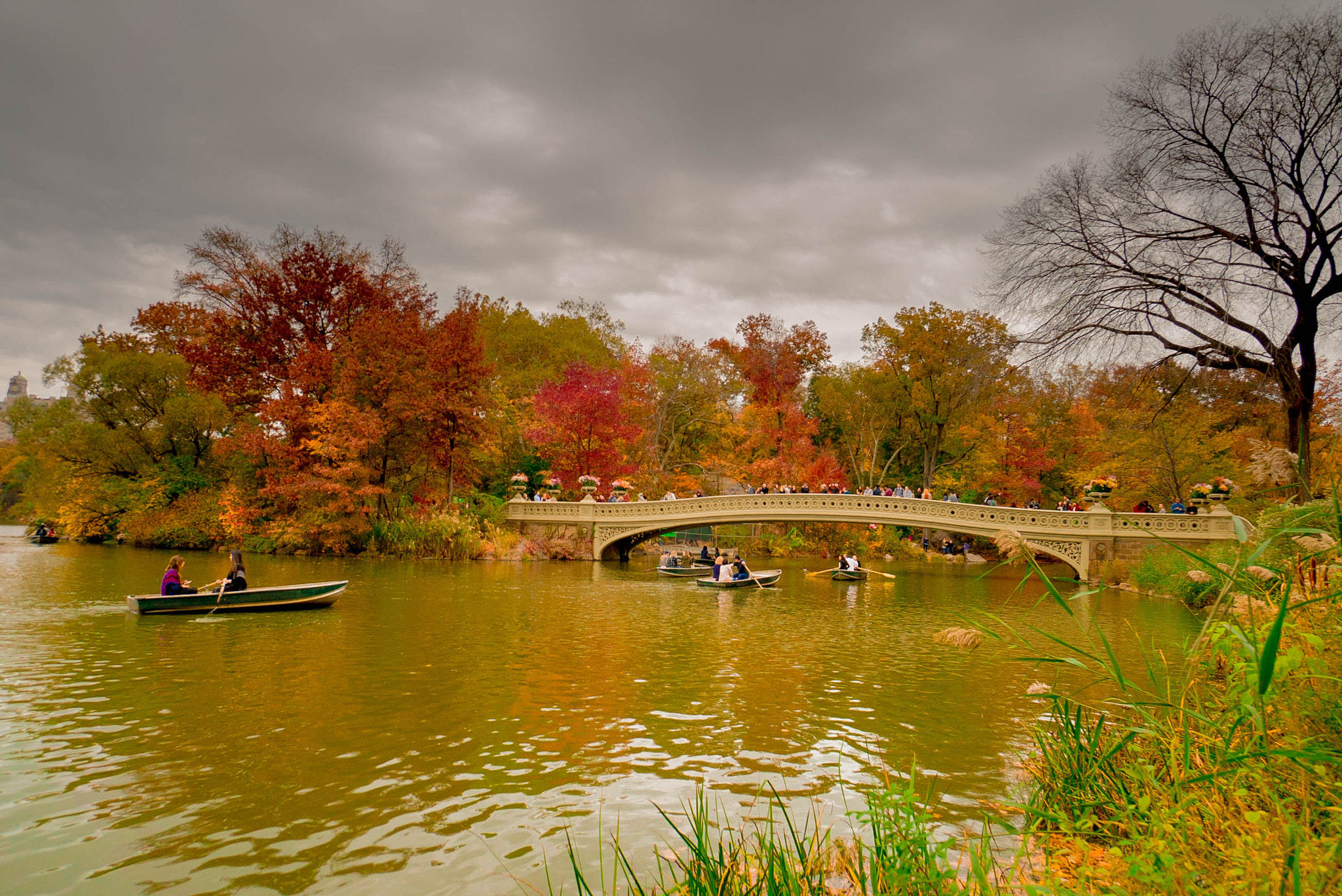 Sony a7S + Sony E 10-18mm F4 OSS sample photo. Bow bridge photography