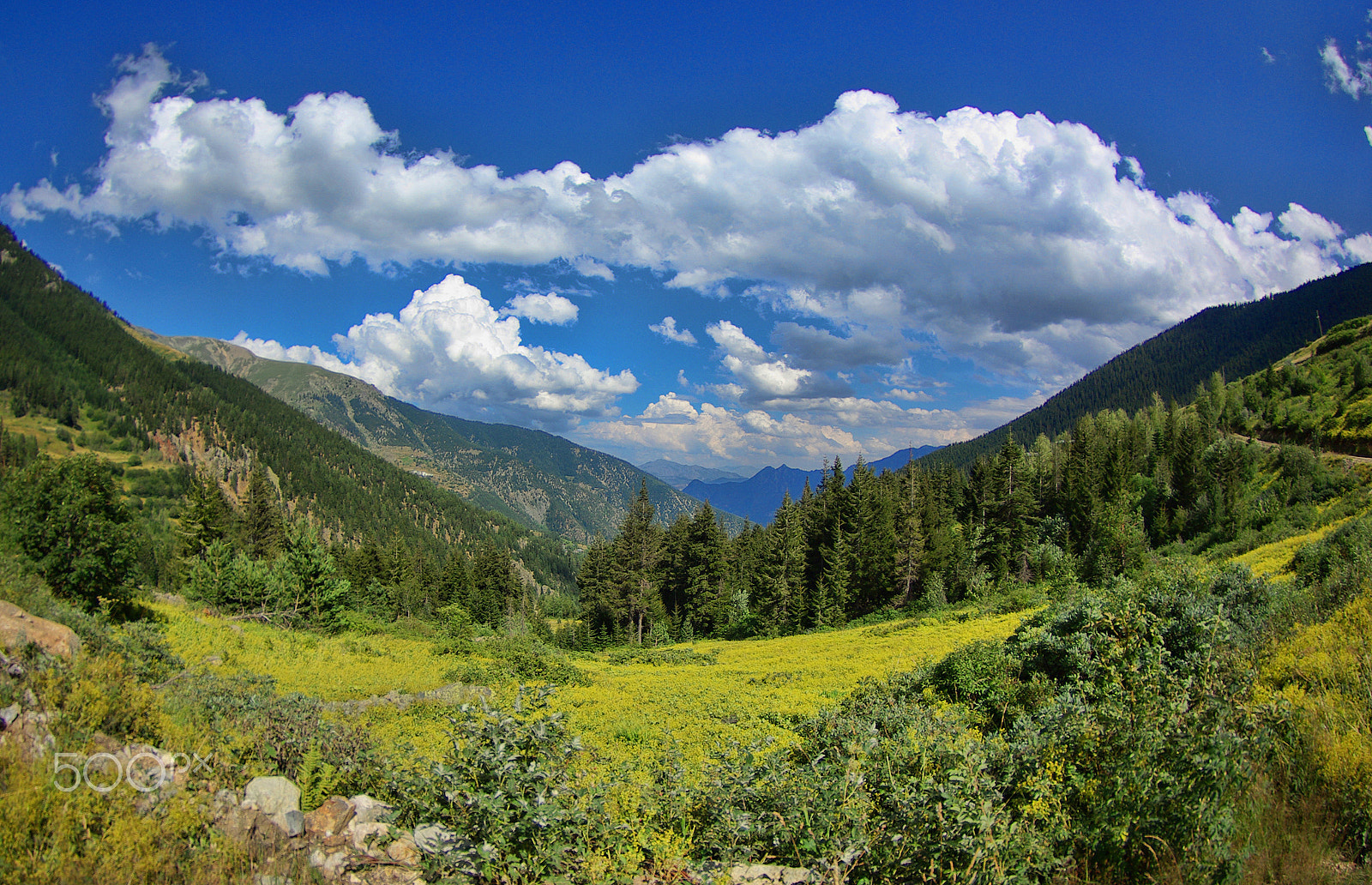 Pentax K10D + Samsung/Schneider D-XENOGON 10-17mm F3.5-4.5 sample photo. Barhal photography