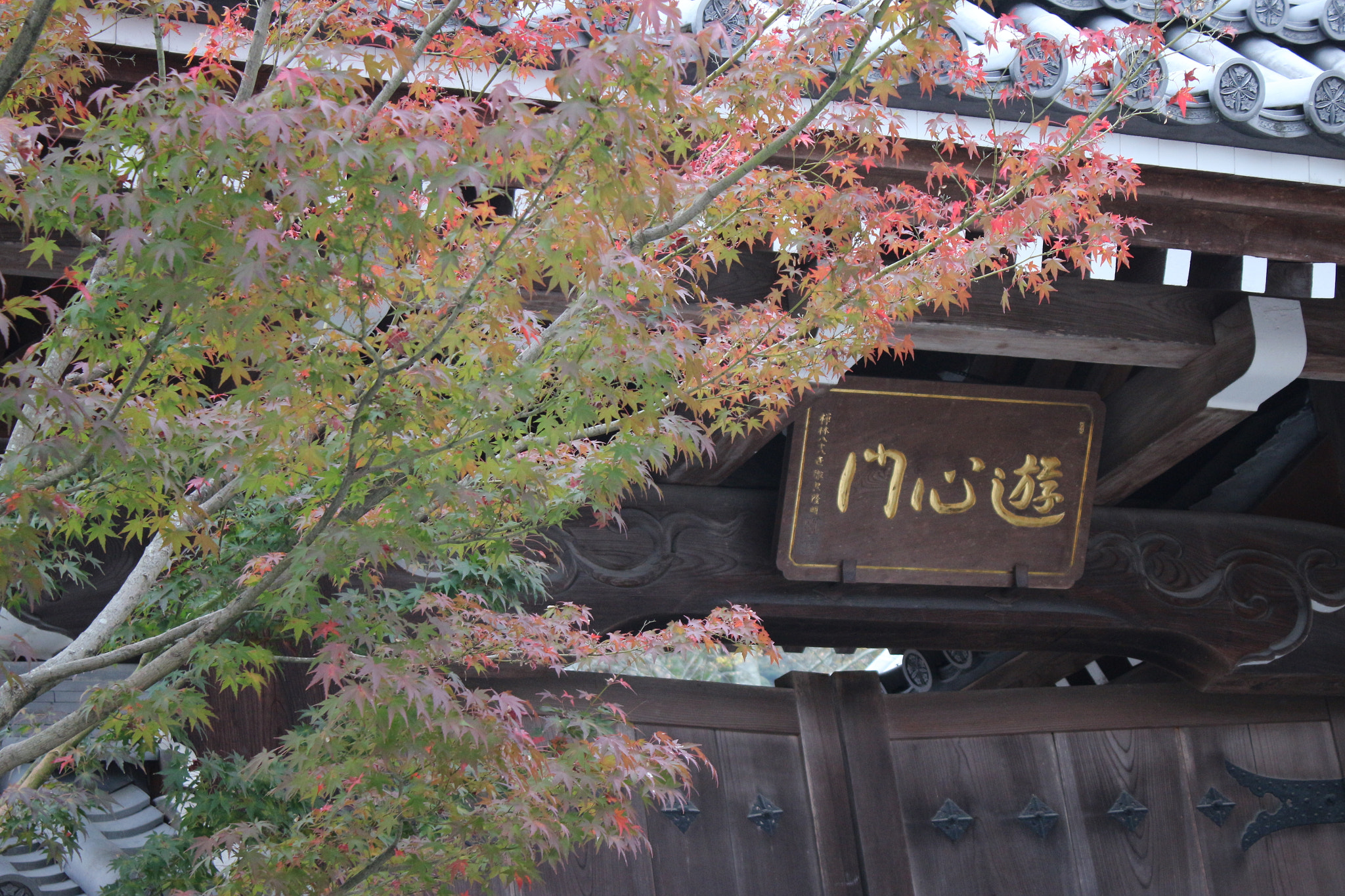 Canon EOS M2 + Canon EF-S 18-55mm F3.5-5.6 IS sample photo. Autumn kyoto photography