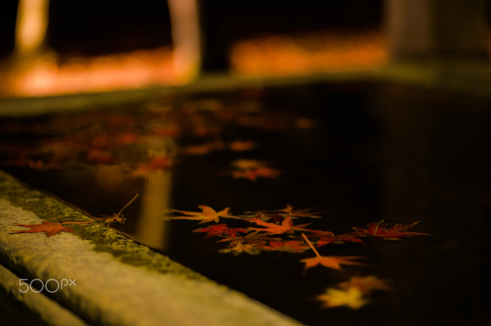 Nikon Df sample photo. Floating photography