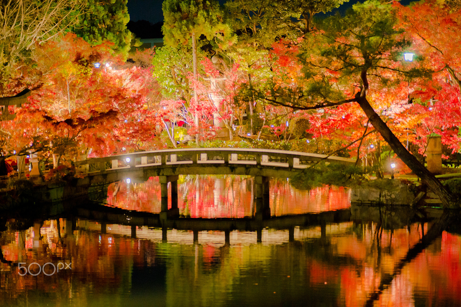 Nikon Df sample photo. The bridge photography
