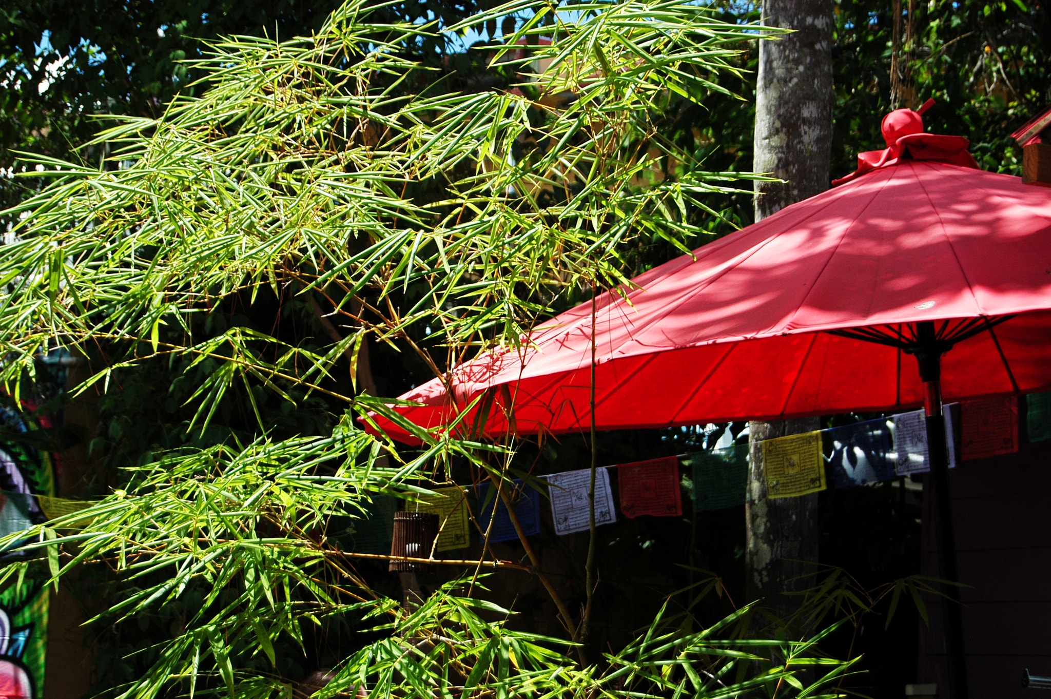 Nikon D100 sample photo. Dsc_5453.jpg photography