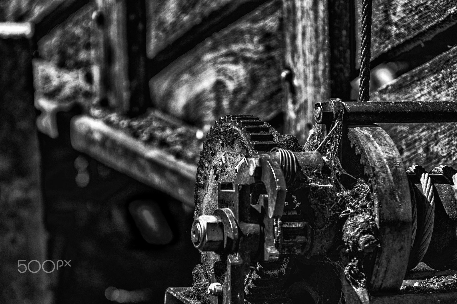 Pentax smc DA* 50-135mm F2.8 ED (IF) SDM sample photo. Sale yards bw photography