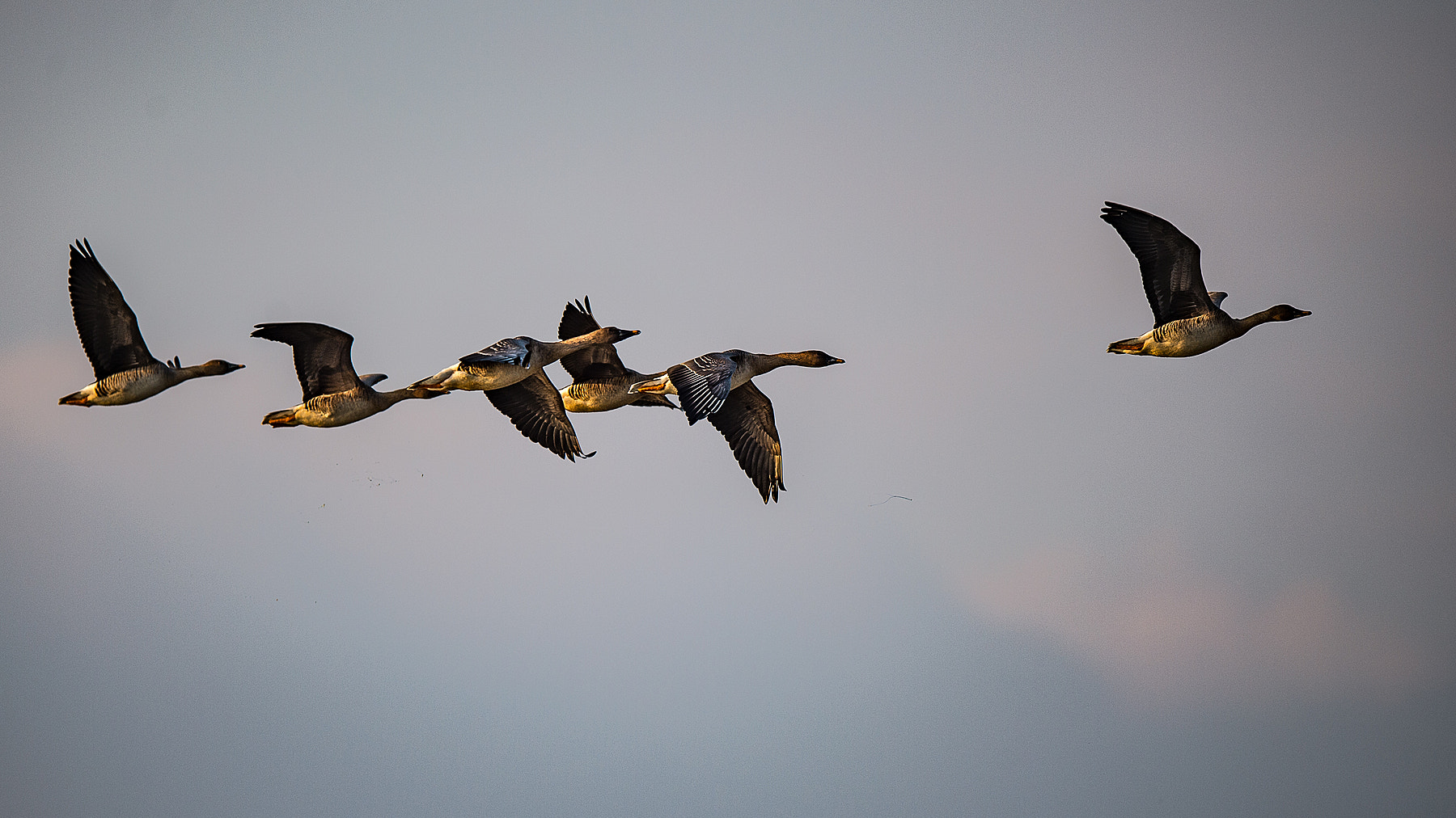 Nikon D4S sample photo. Emptying out photography