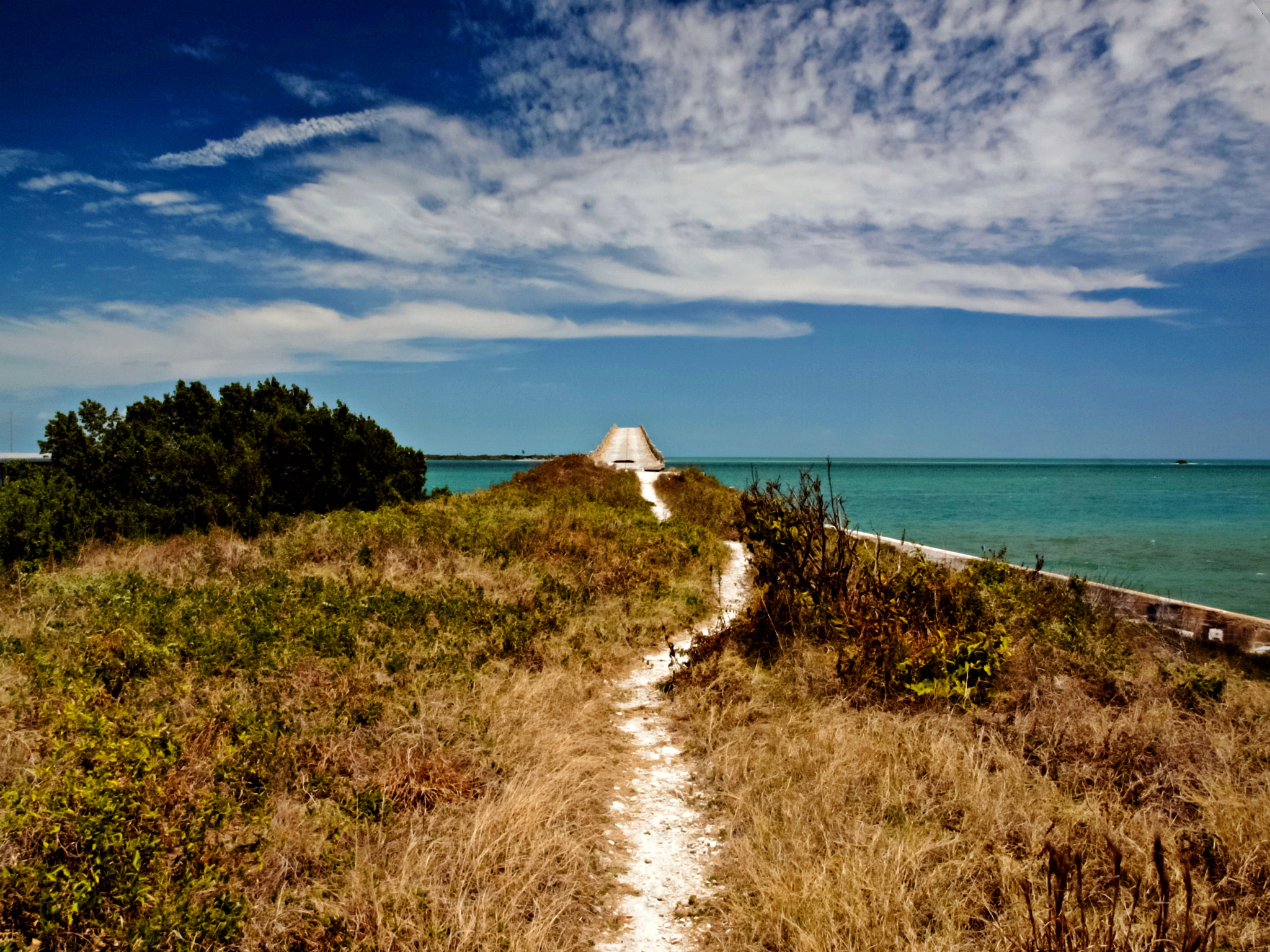 Olympus E-600 (EVOLT E-600) + OLYMPUS 14-42mm Lens sample photo. Path that almost leads to the bridge photography