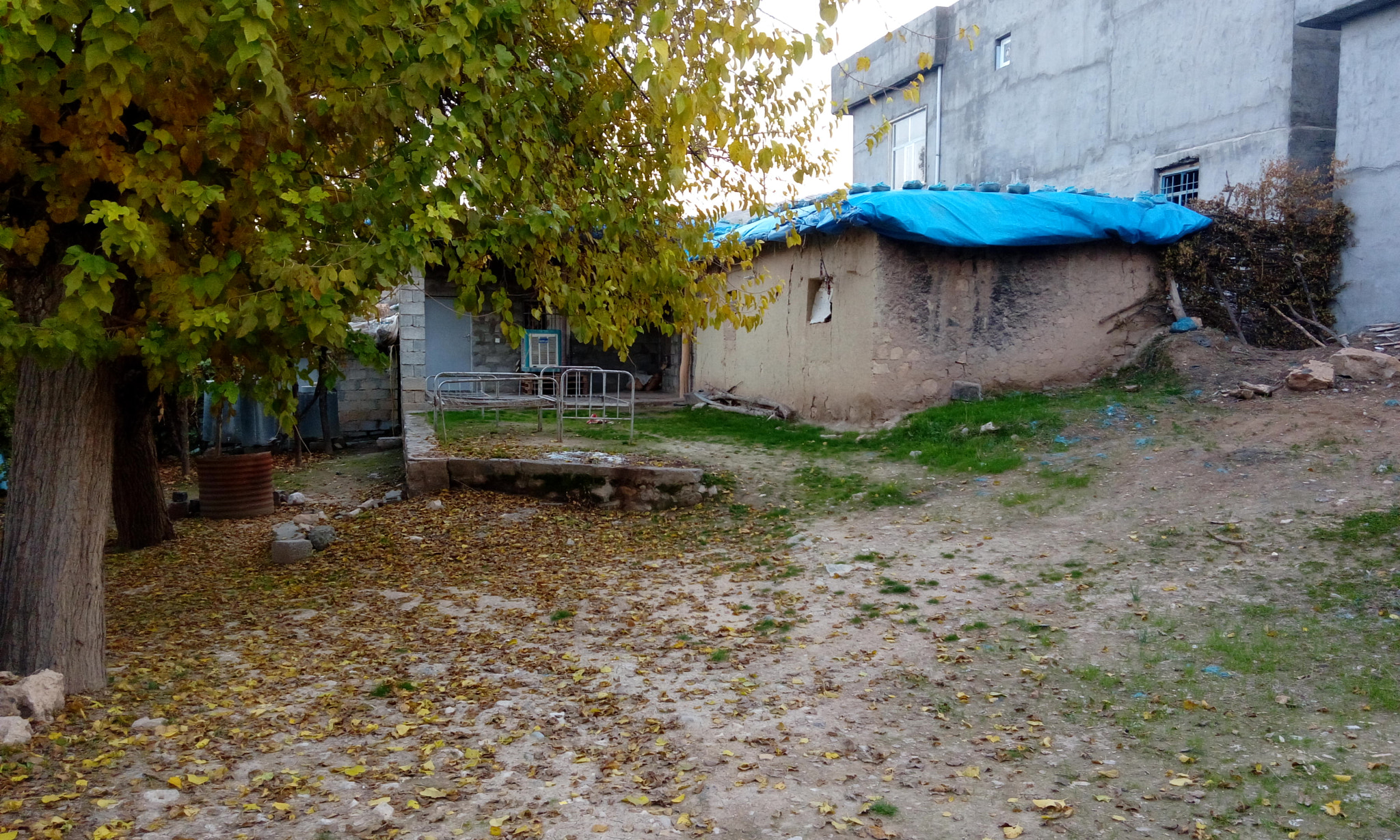 HTC DESIRE 820G PLUS DUAL SIM sample photo. This my home photography