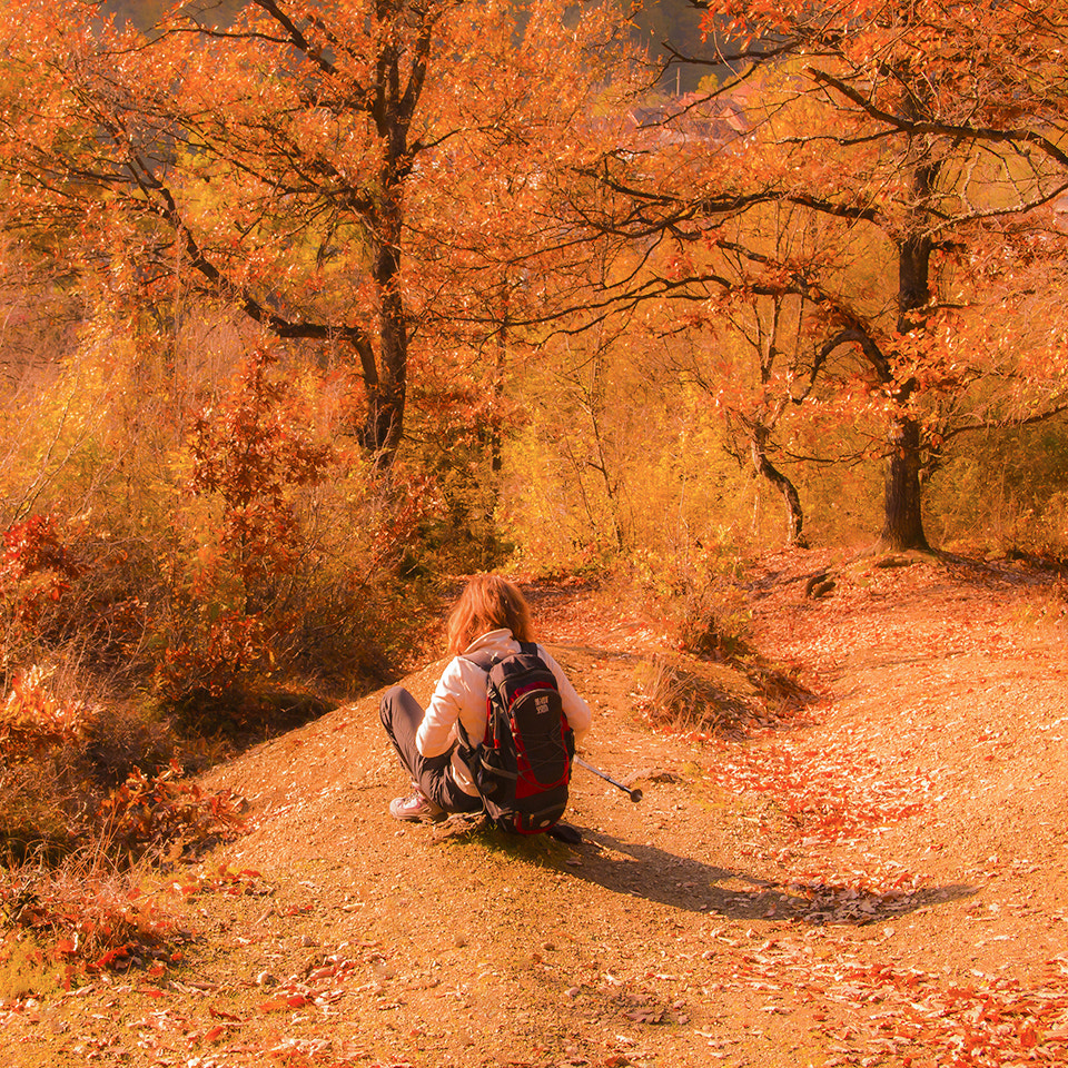 Olympus PEN E-PL1 sample photo. Autumn rest photography
