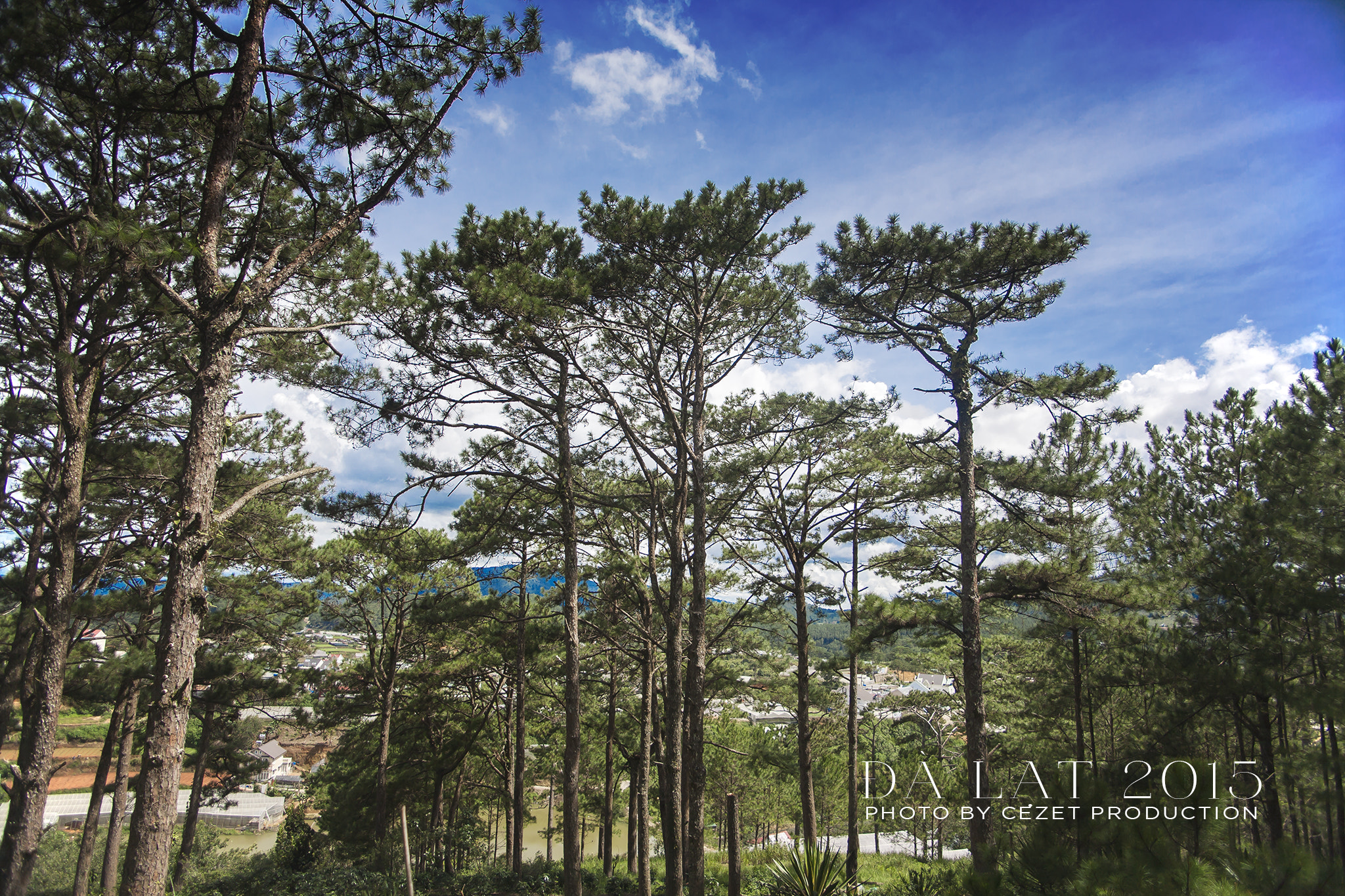 Canon EF 20-35mm F3.5-4.5 USM sample photo. Đà lạt 2015 photography