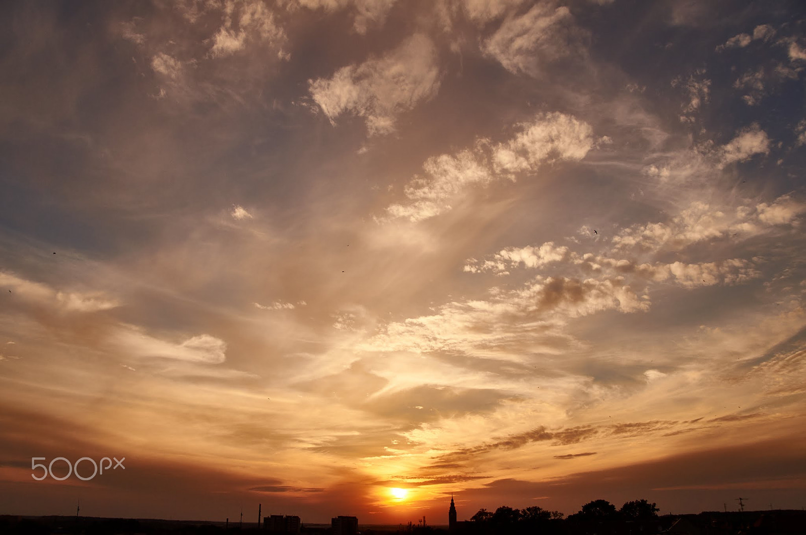 Sony SLT-A37 sample photo. The golden sunset photography