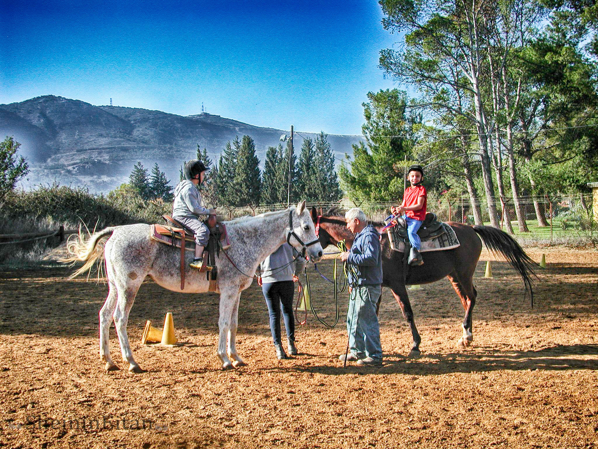 Olympus C3040Z sample photo. Horses photography